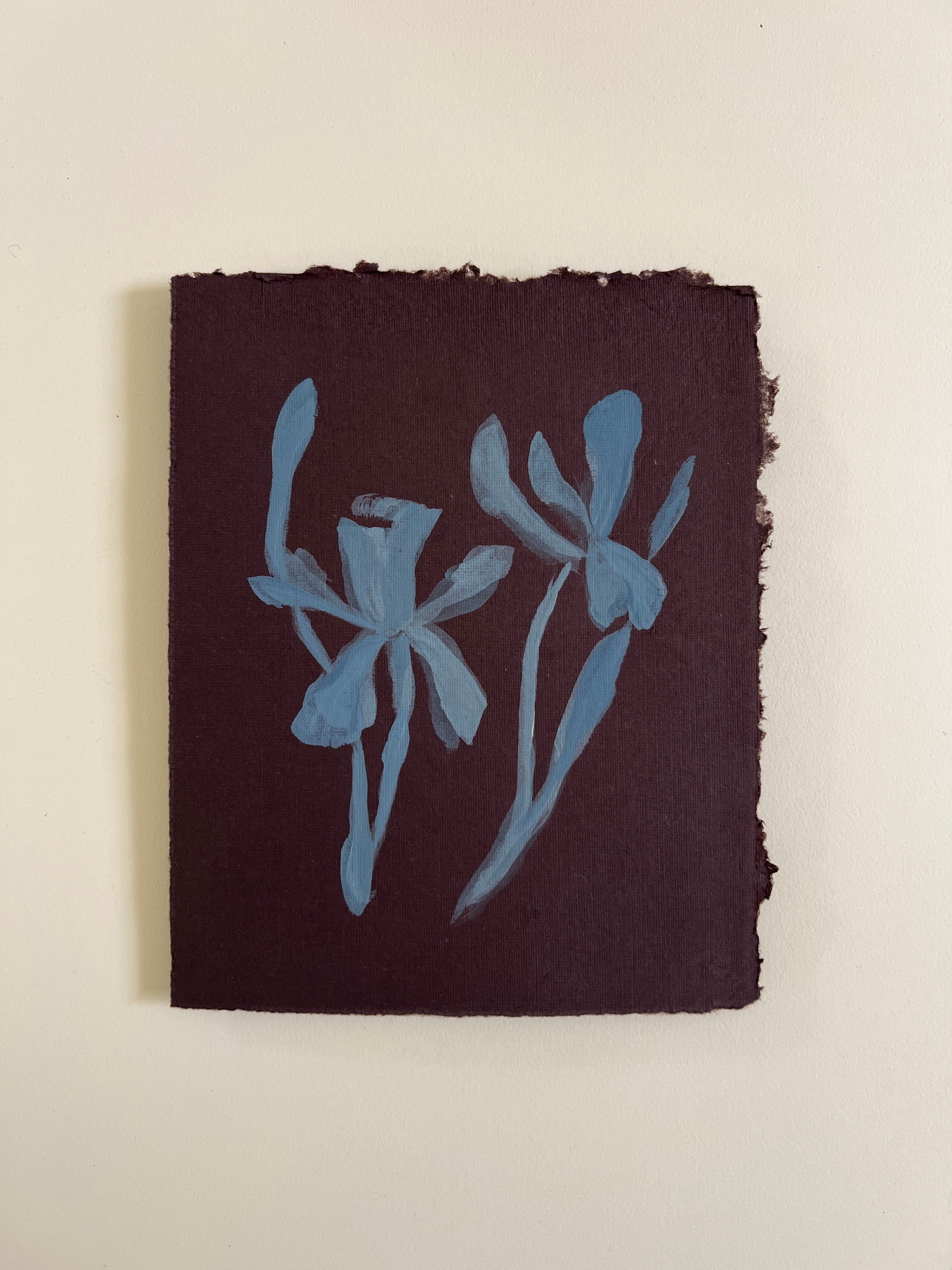 Flora XVIII