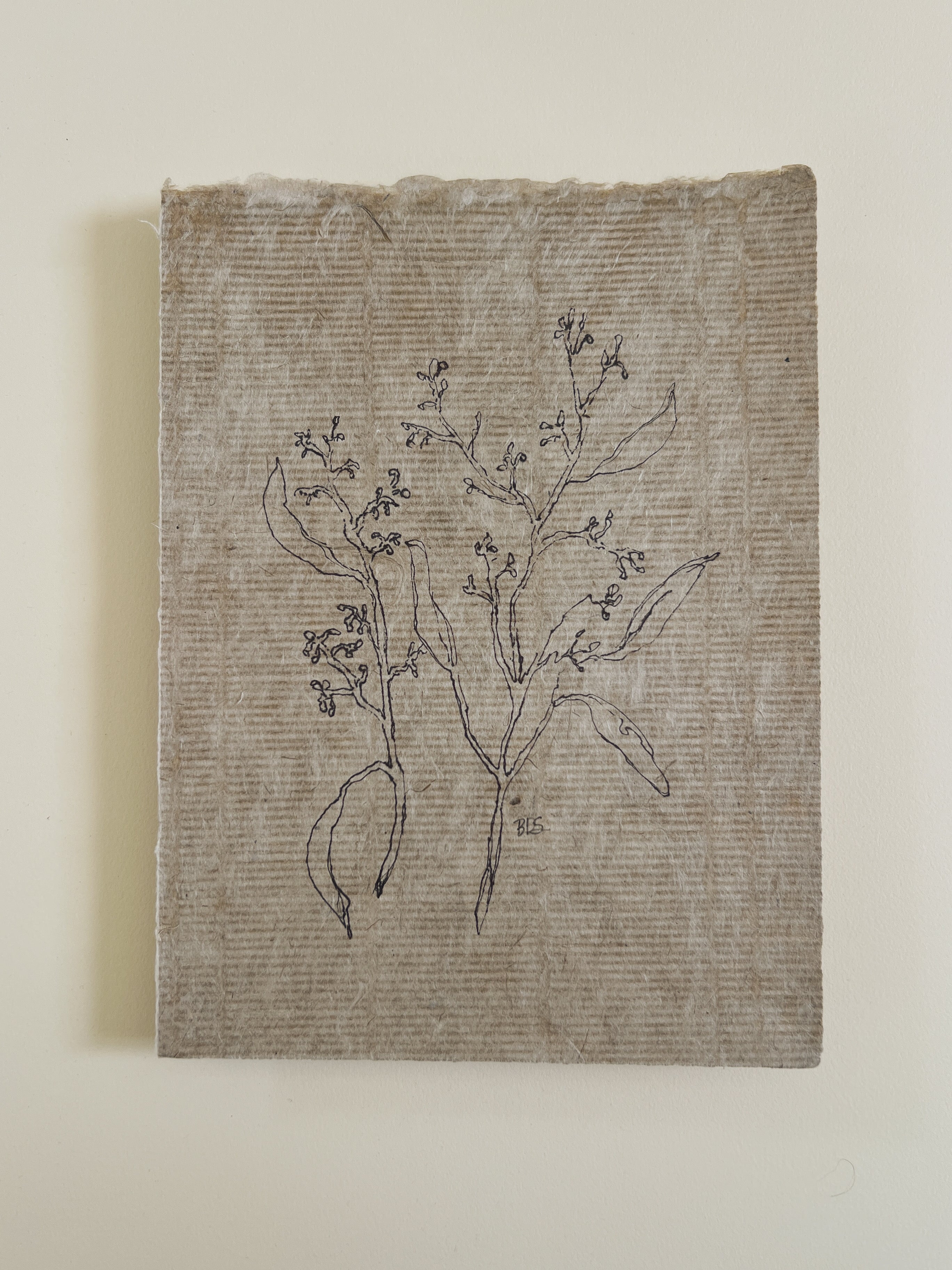 Flora VI