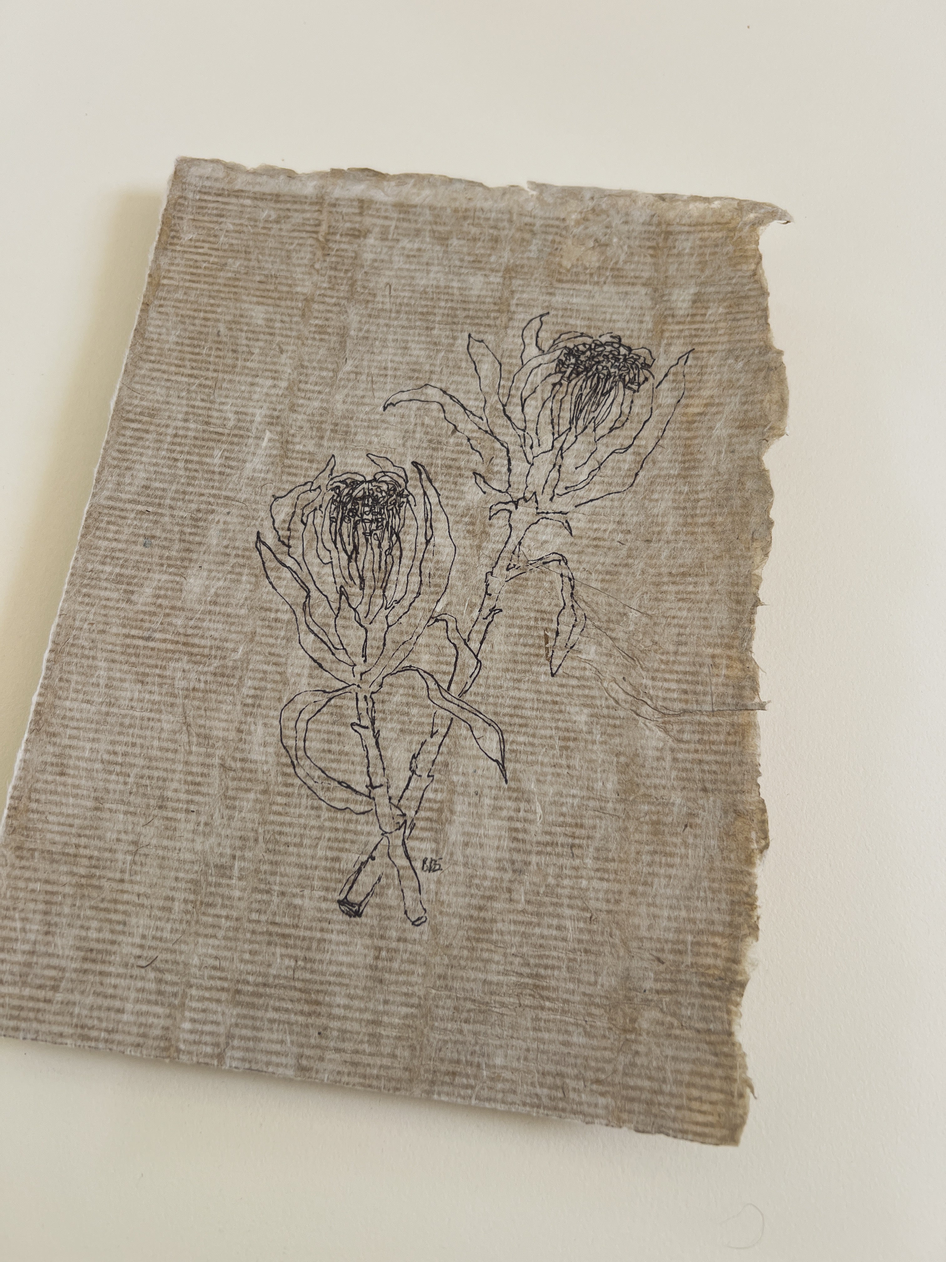 Flora III