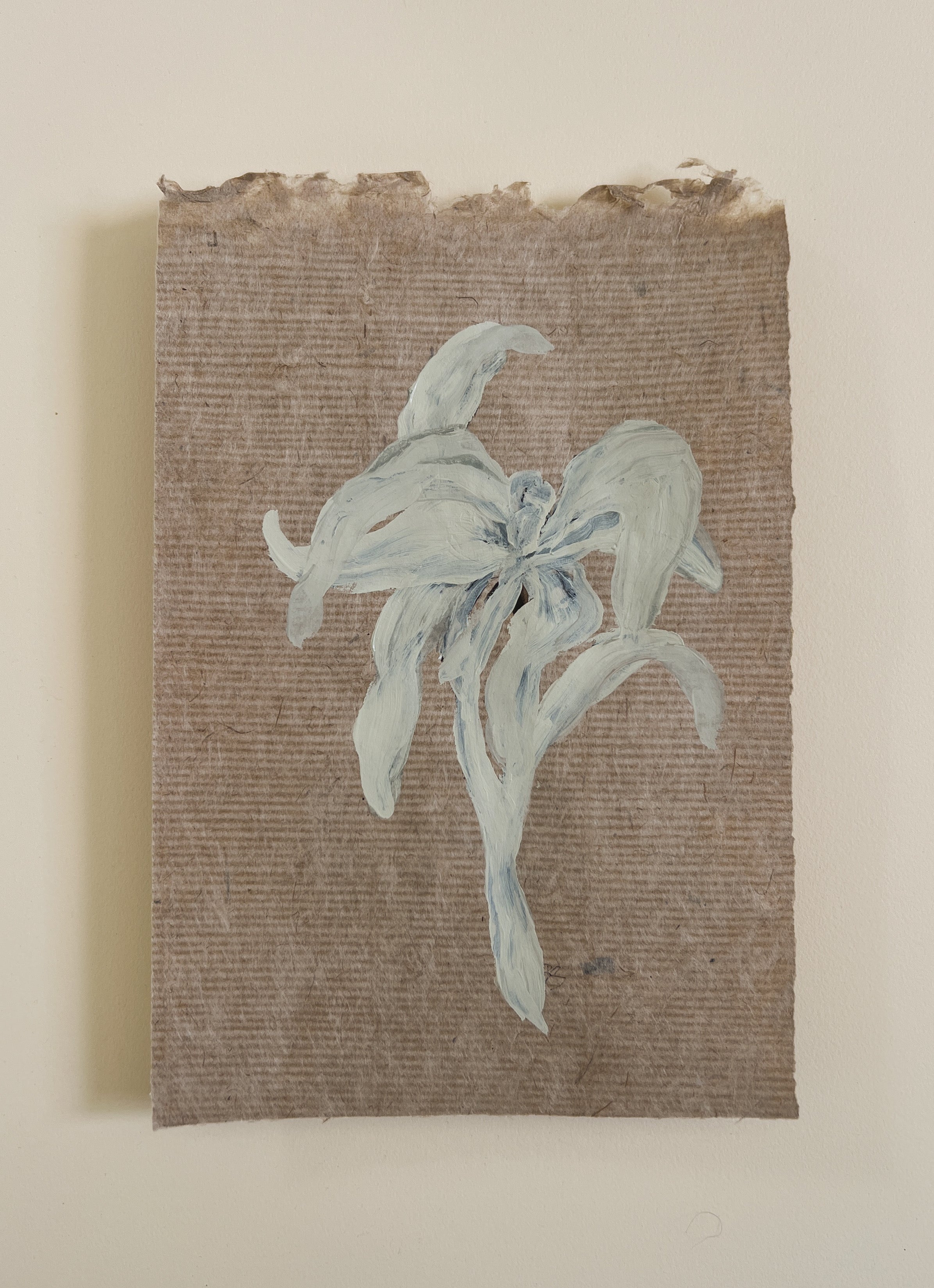 Flora XIII