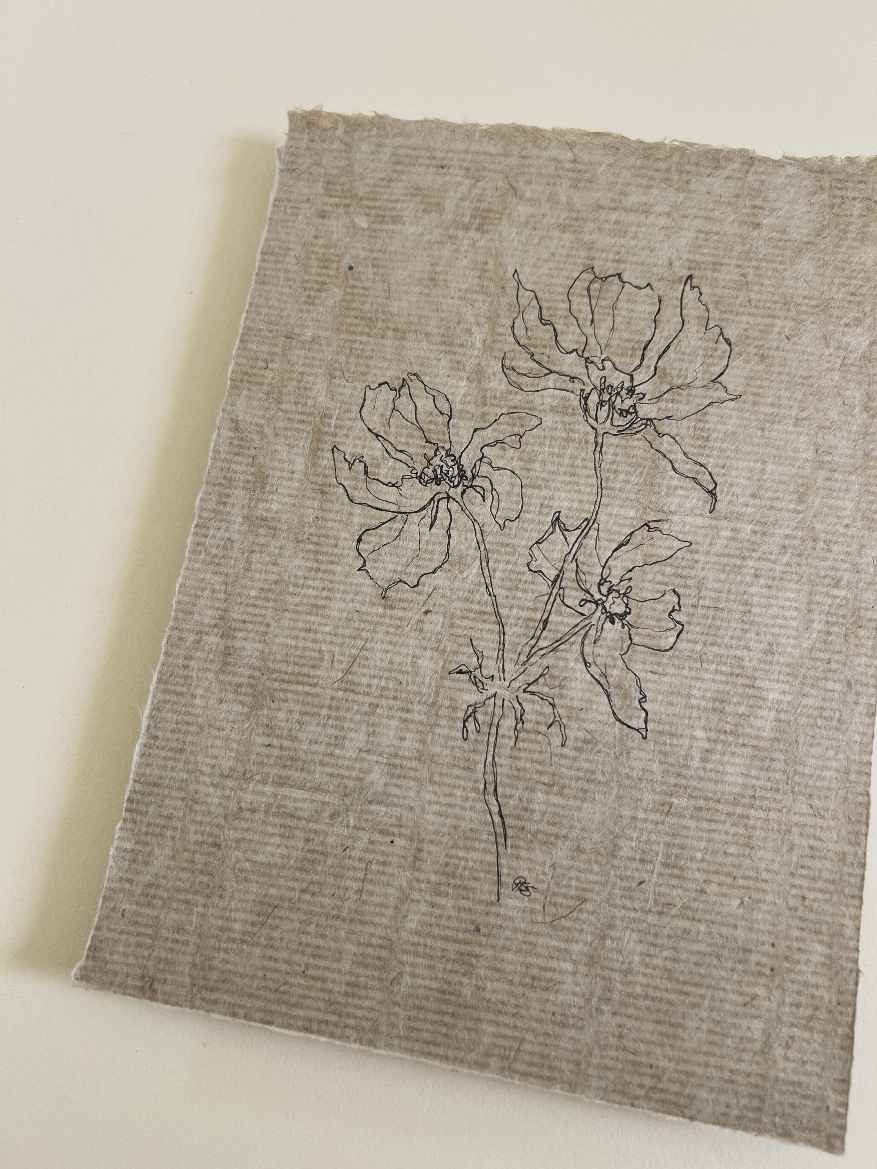 Flora VIII