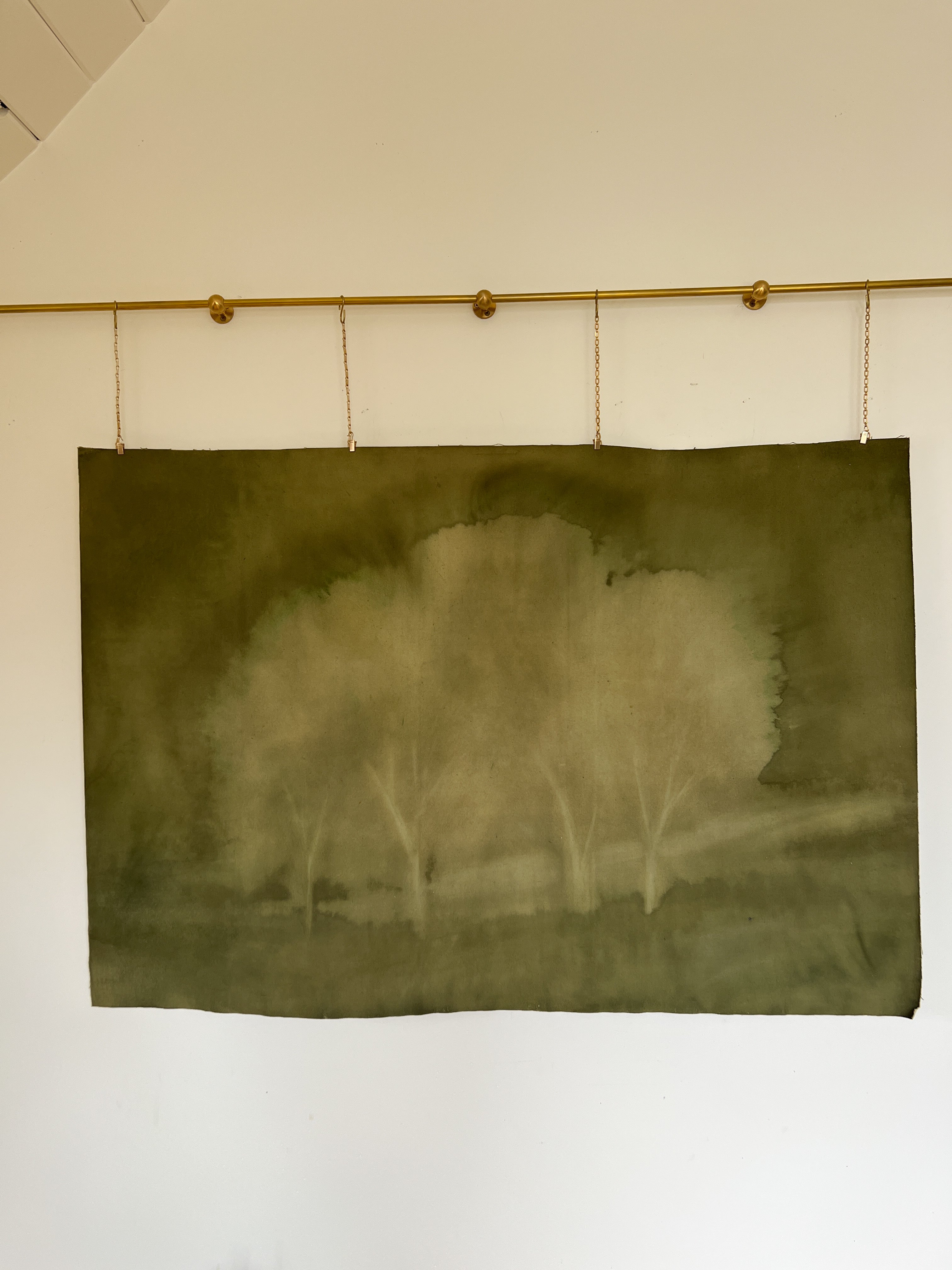 Quaking Aspens