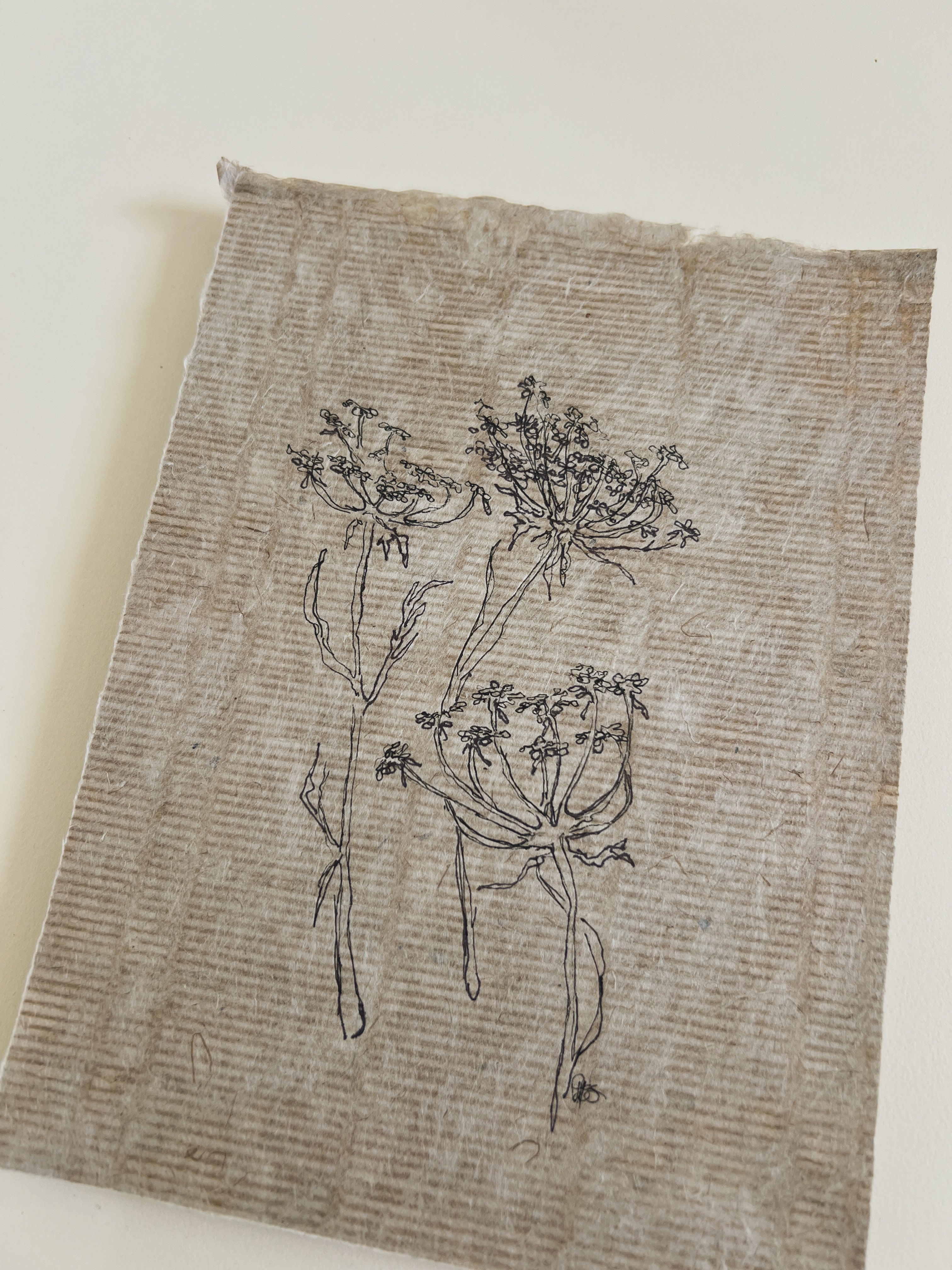 Flora V