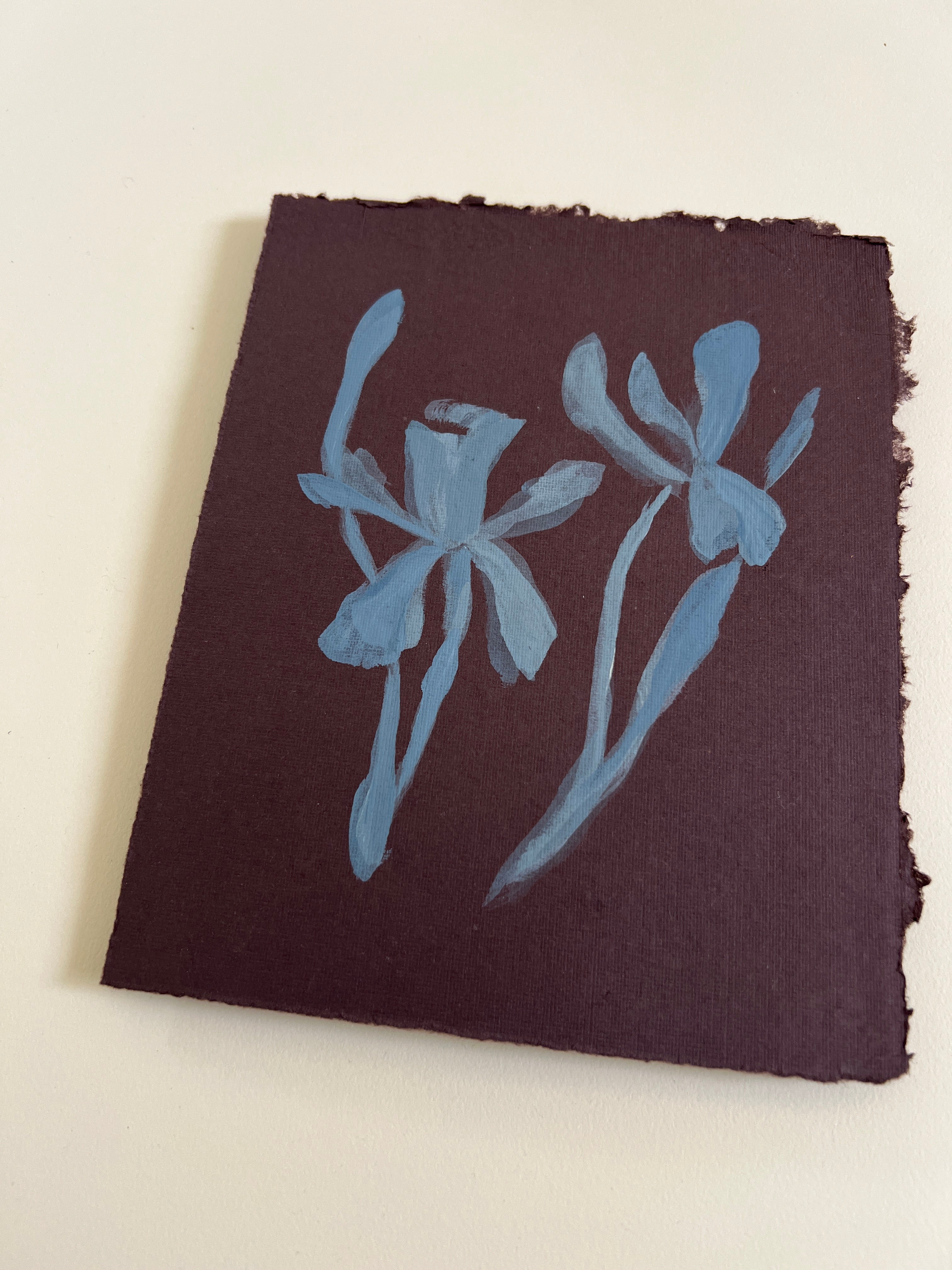 Flora XVIII