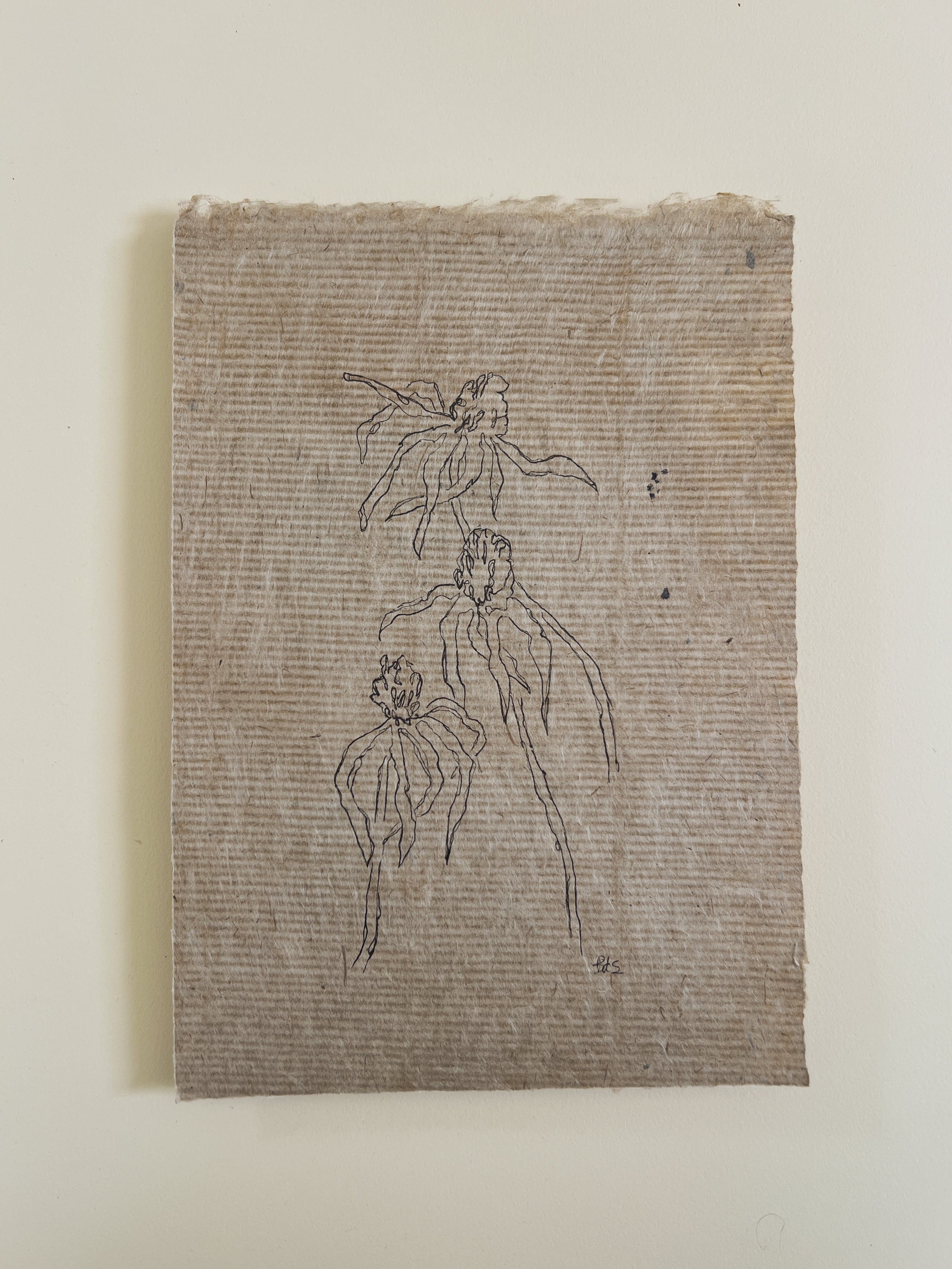 Flora XII