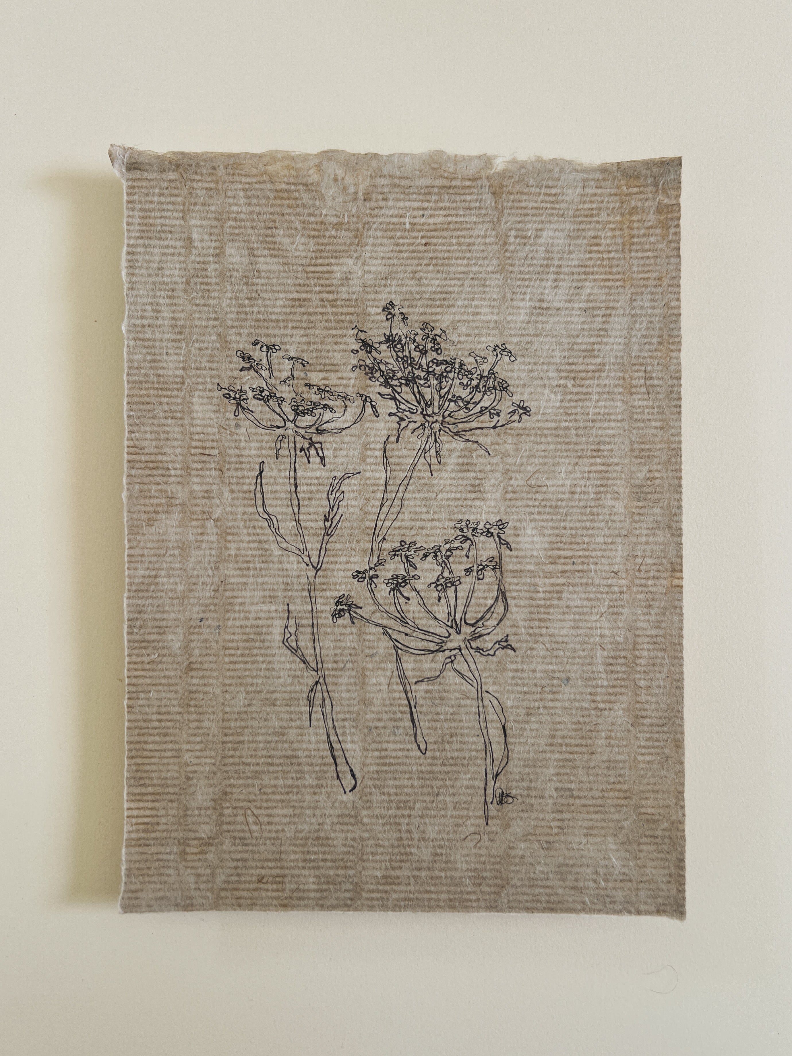 Flora V