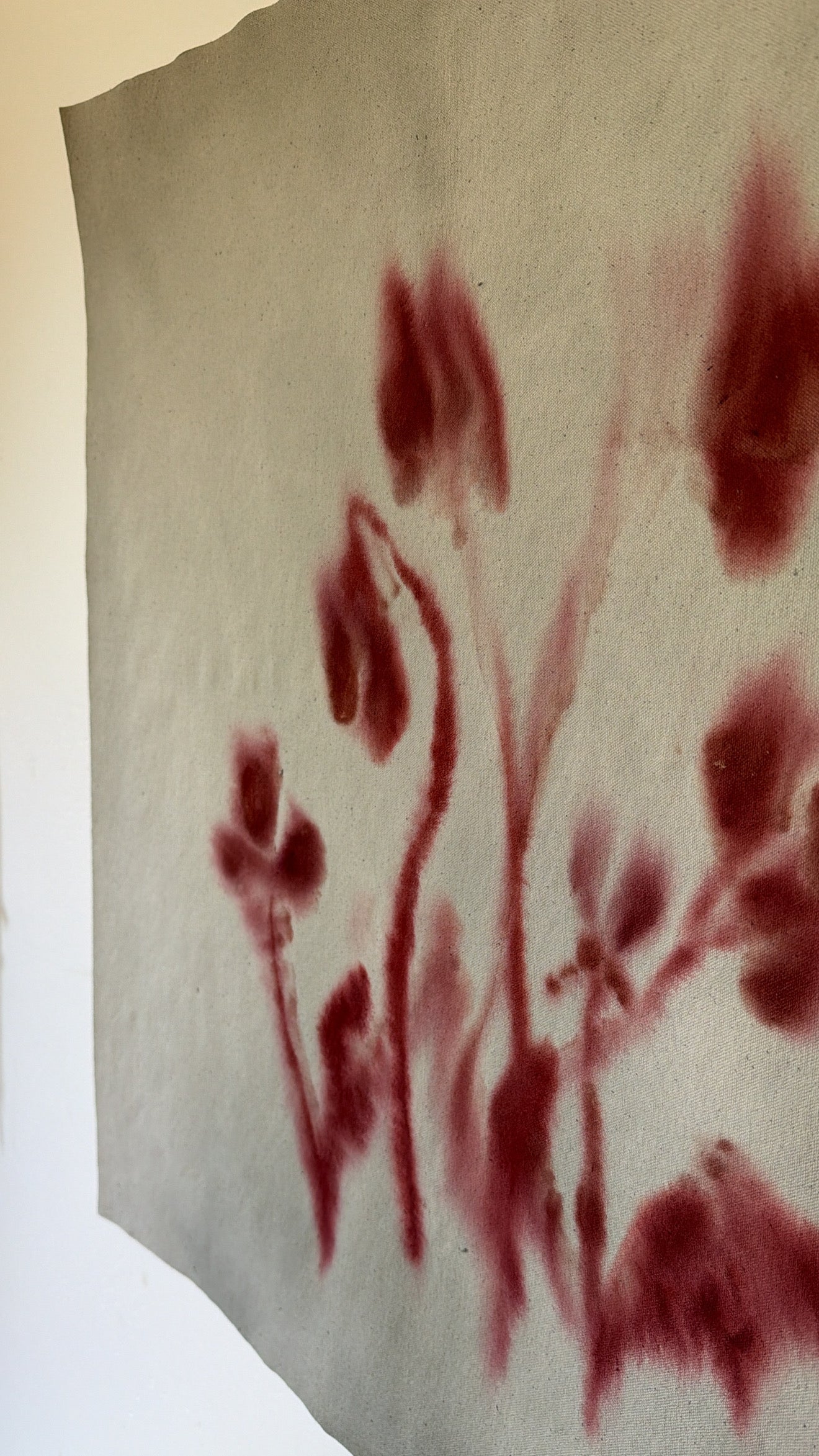 Whimsy II