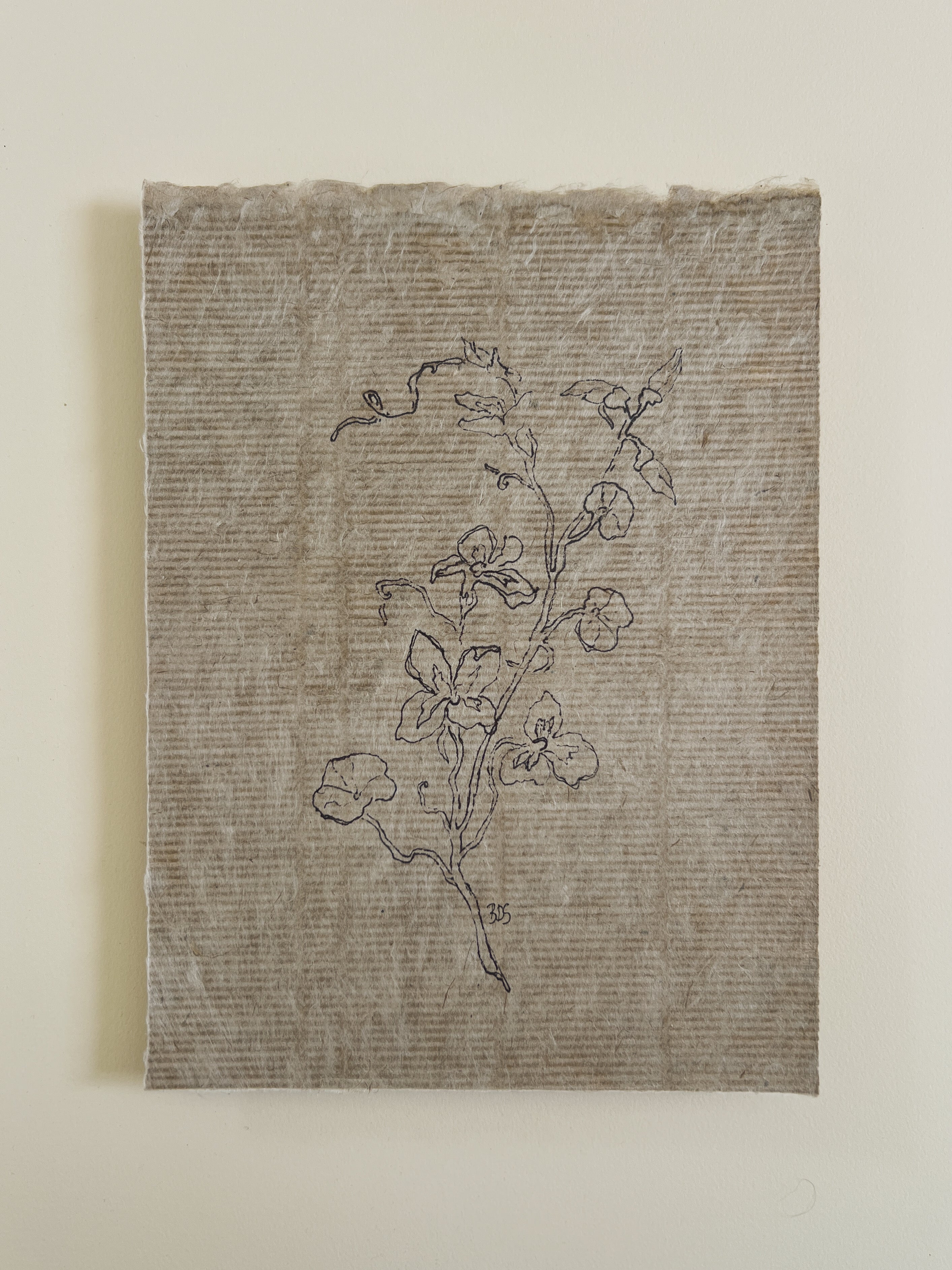 Flora VII
