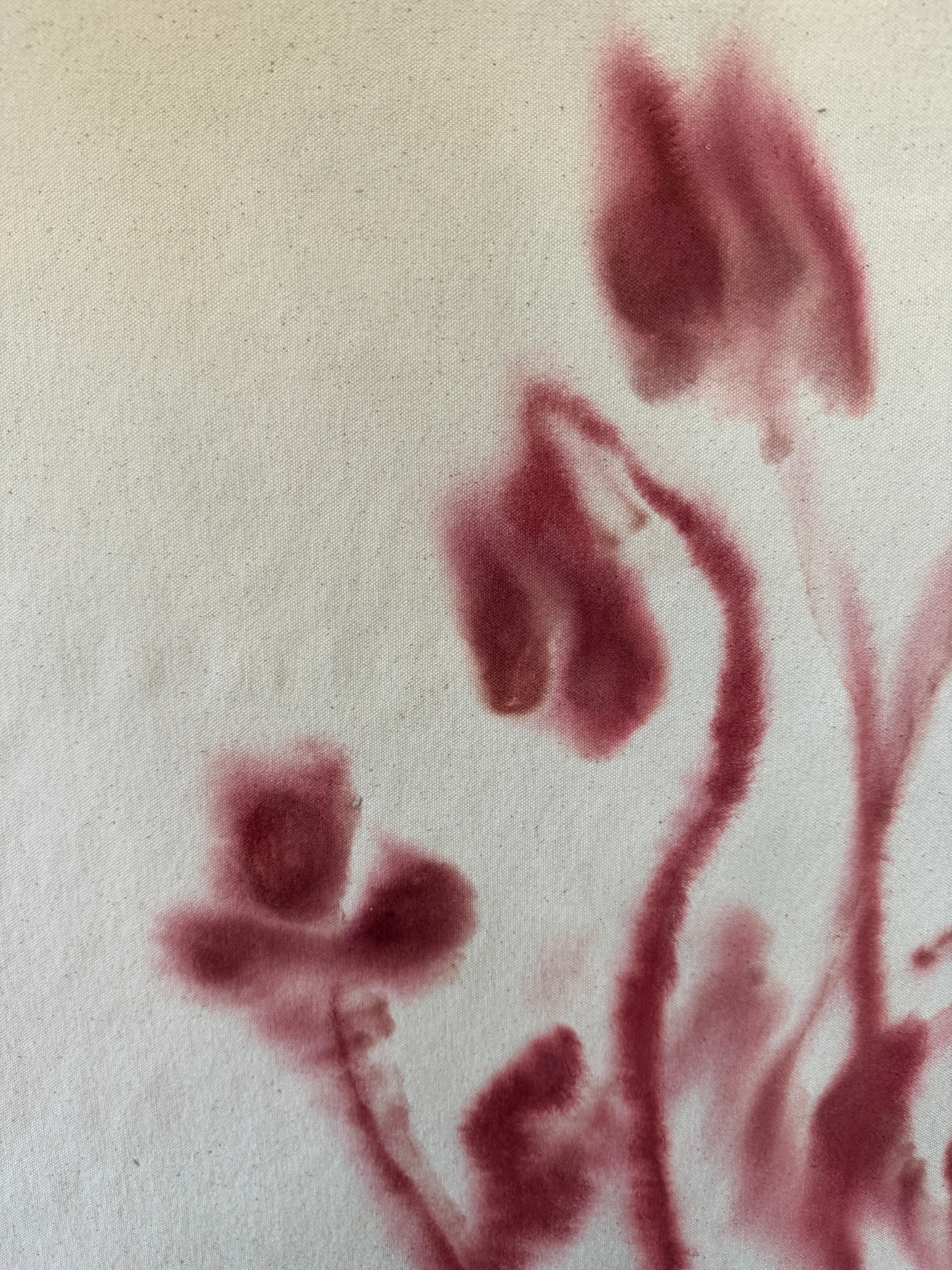 Whimsy II