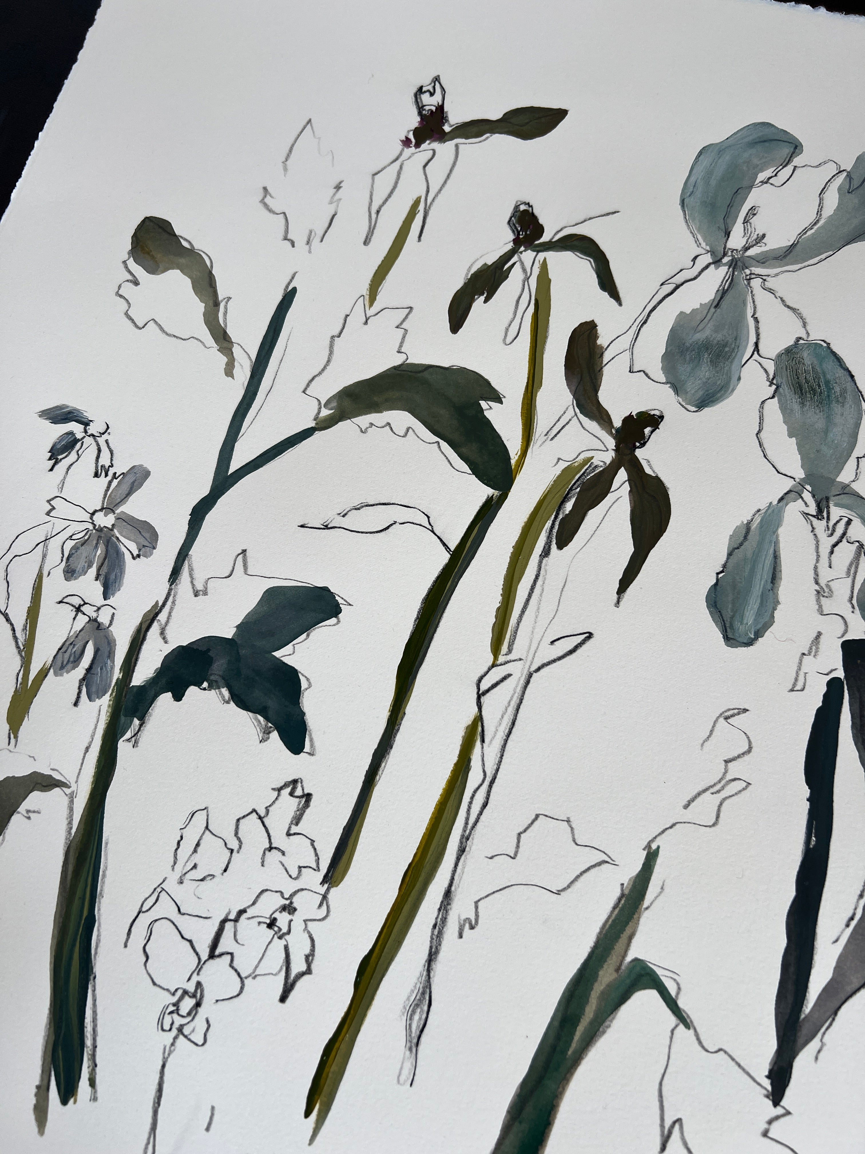 Before the Bloom III