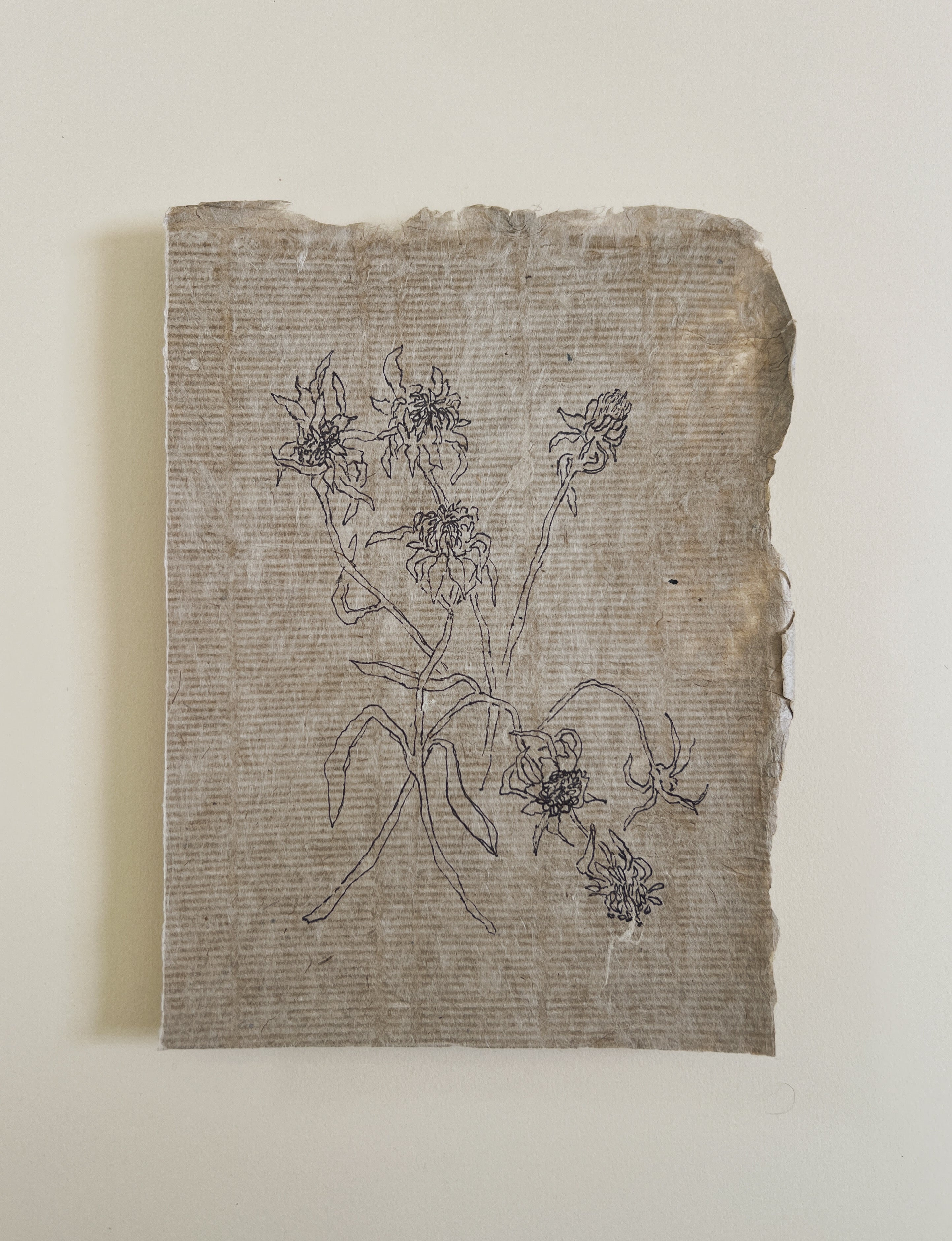 Flora II