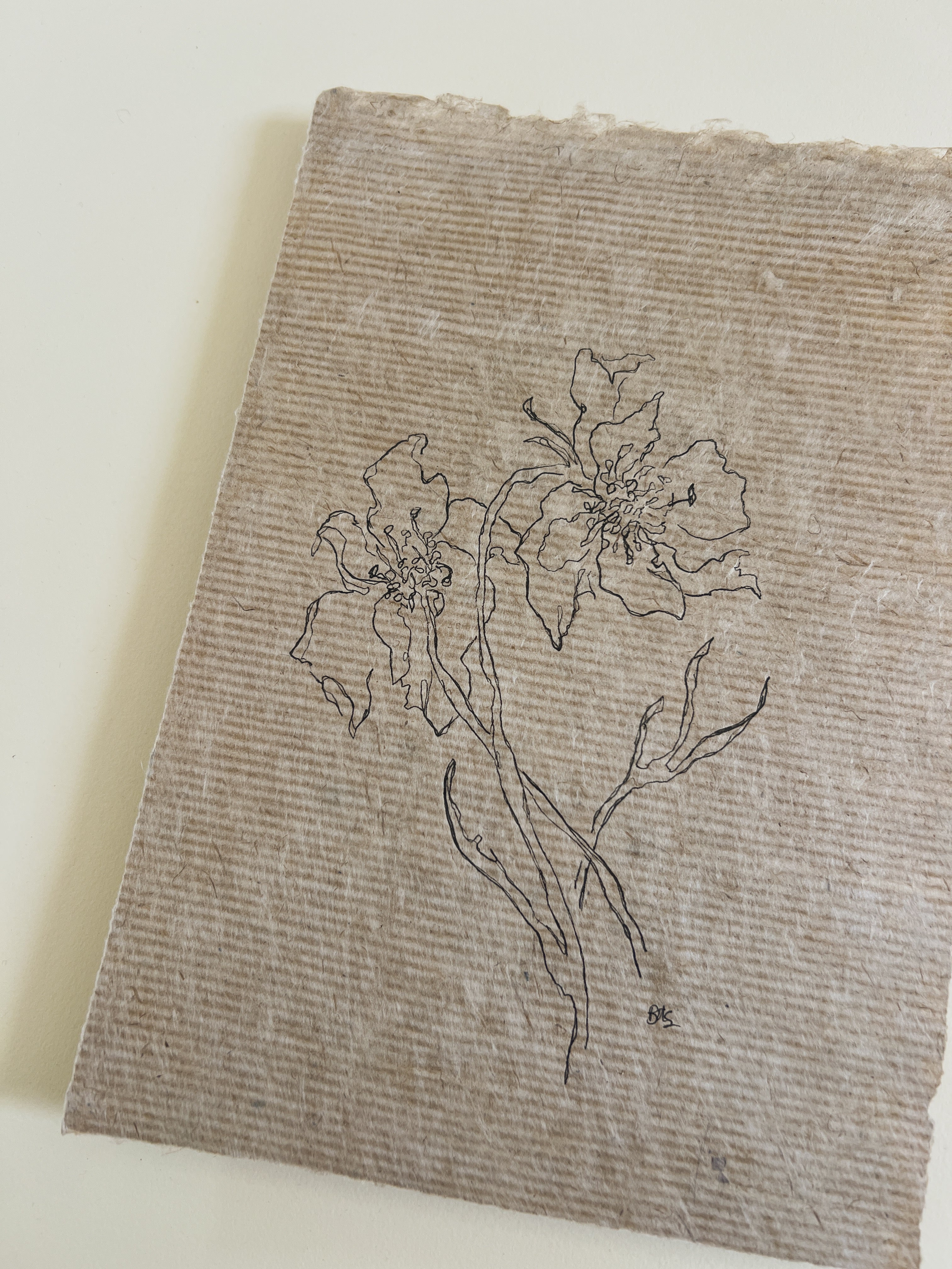 Flora XI