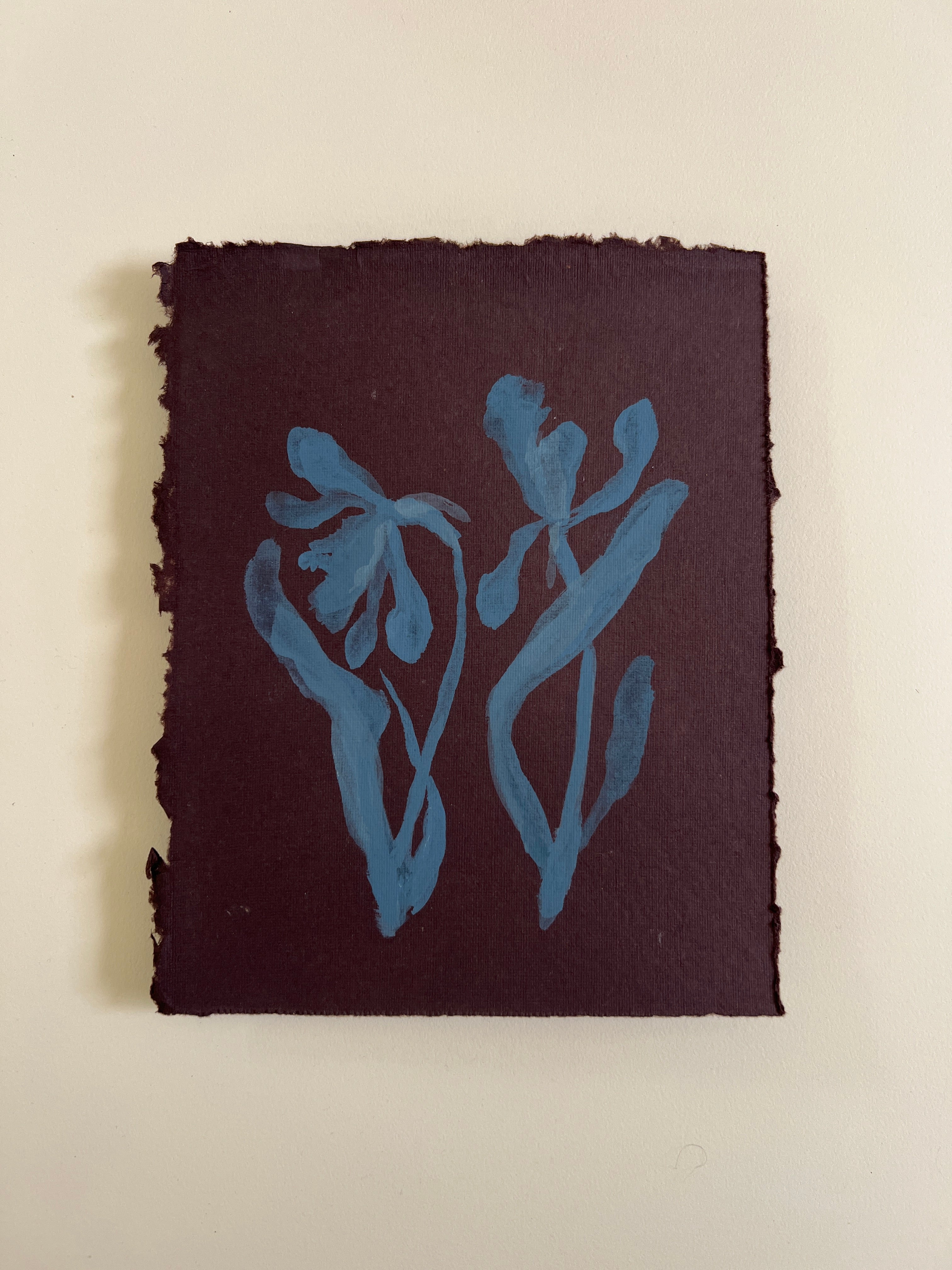Flora XVI