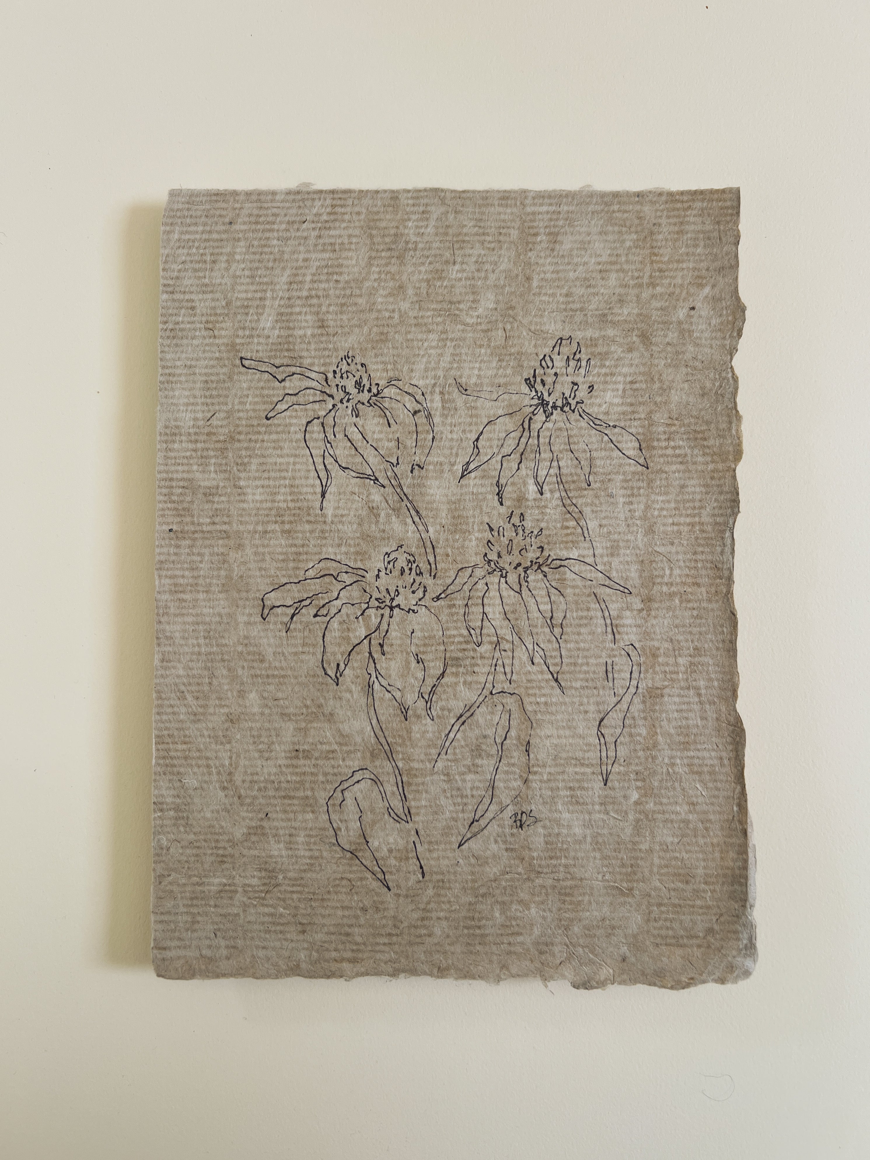 Flora IX