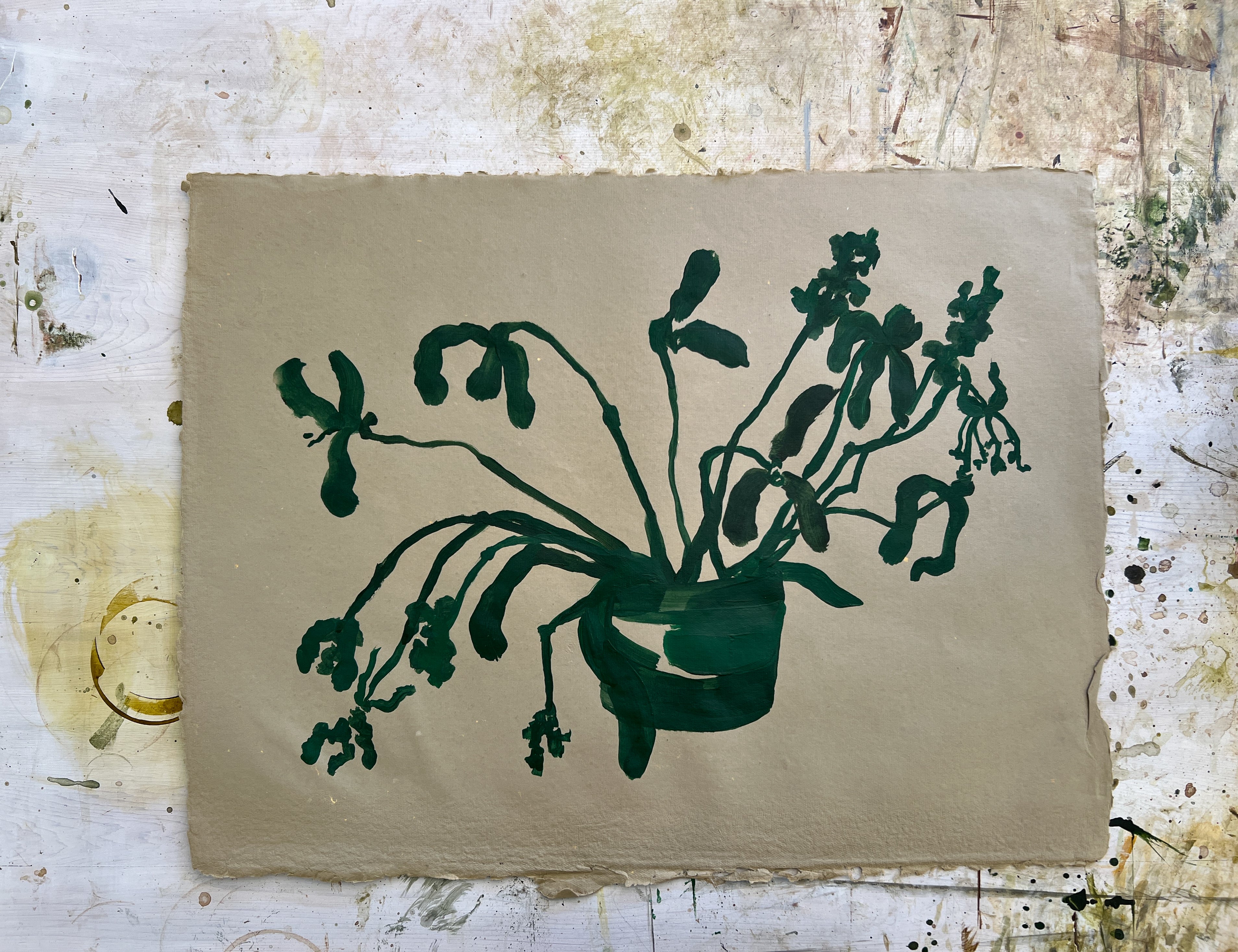 Blooms XXX