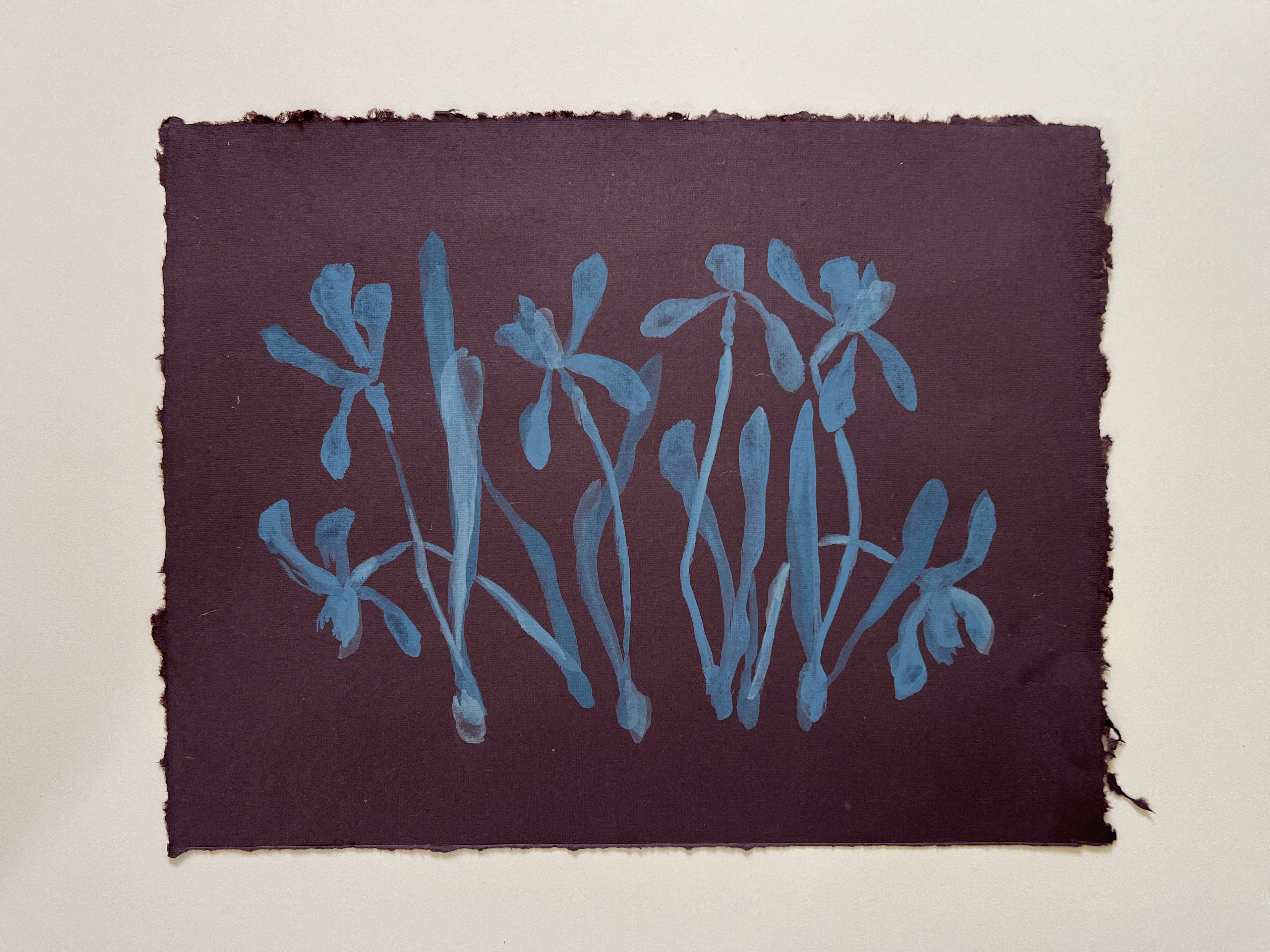 Flora XIX