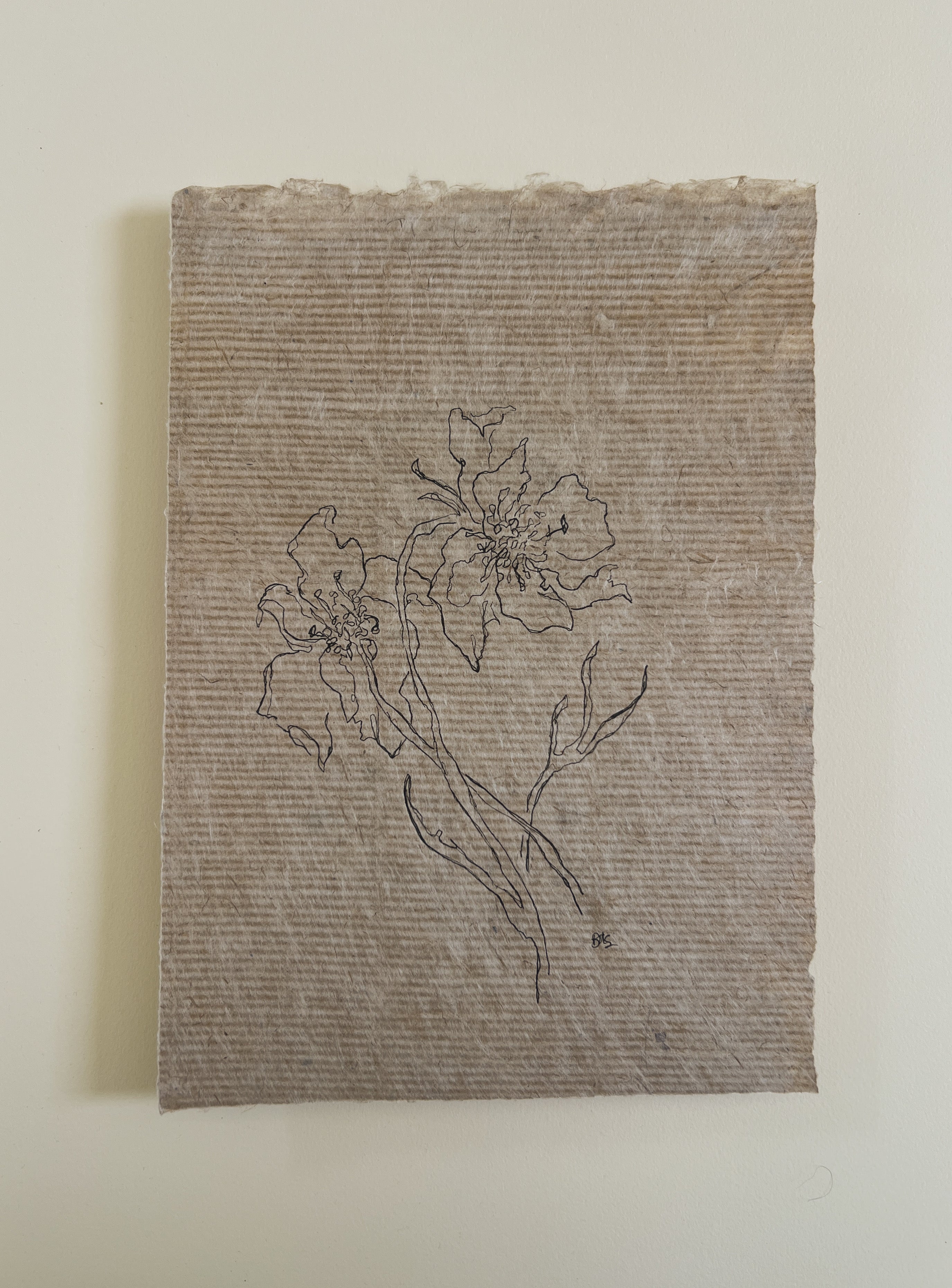 Flora XI