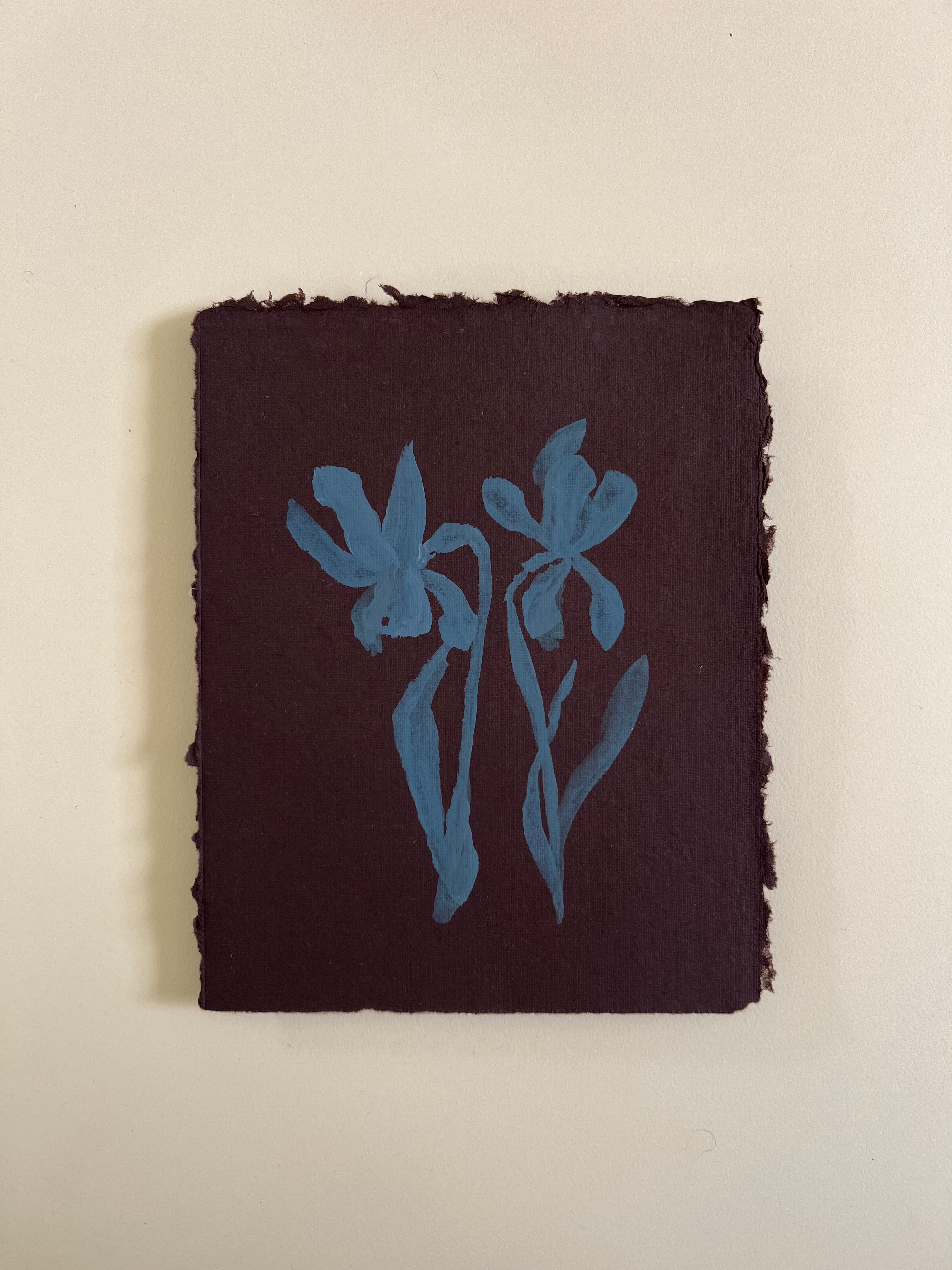 Flora XVII