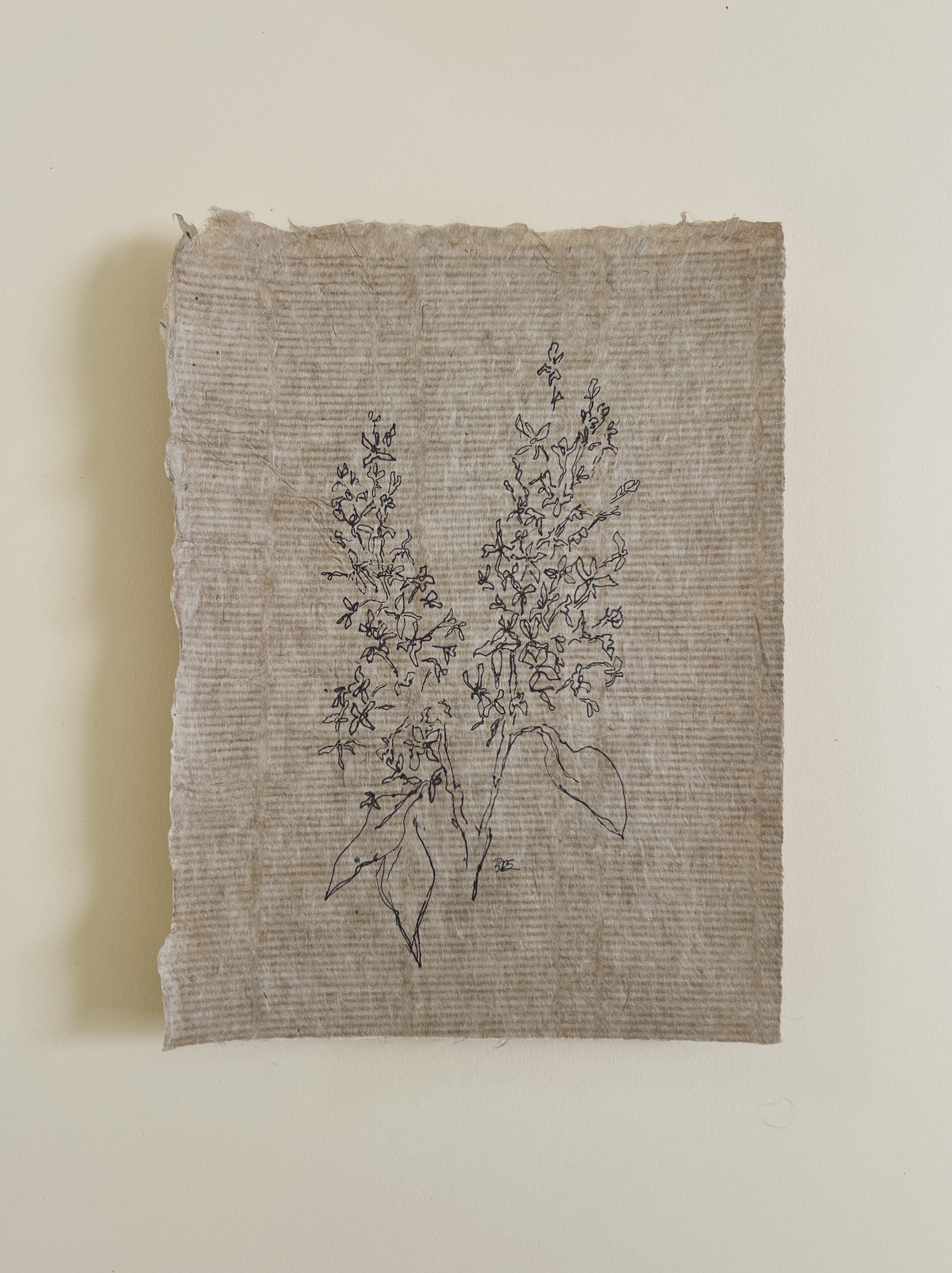 Flora I