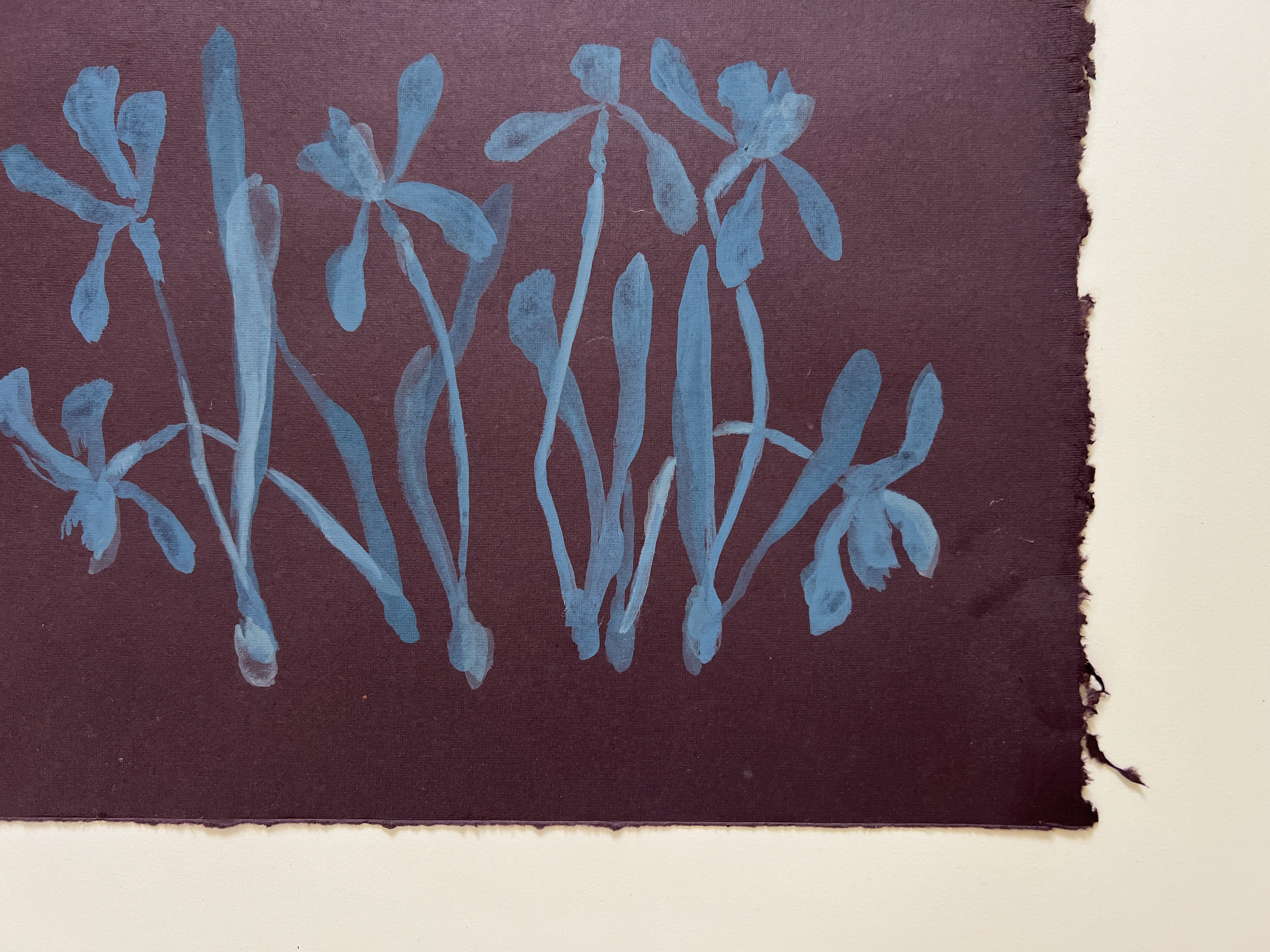Flora XIX