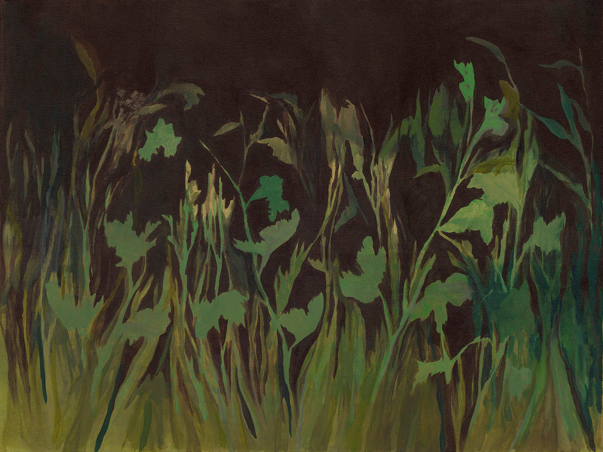 Before the Bloom I