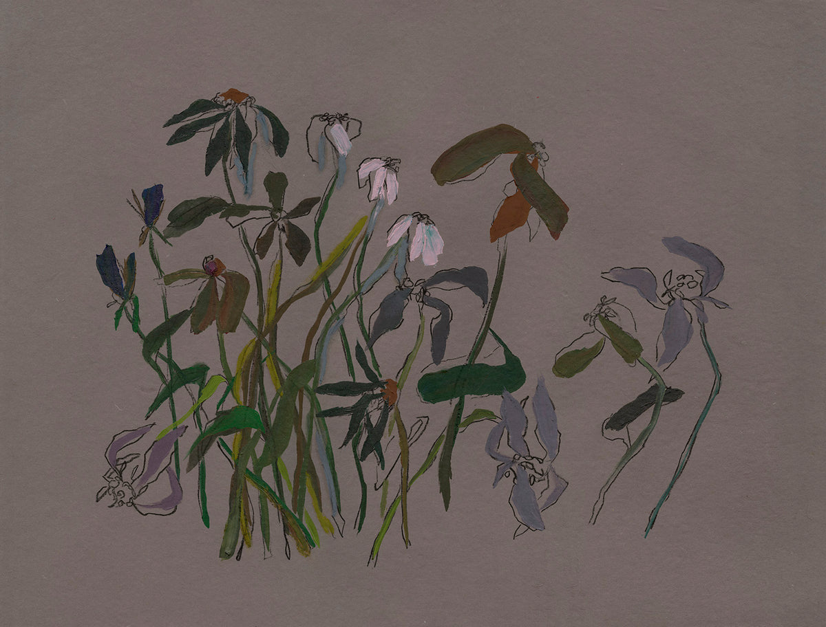 Briefly Held III