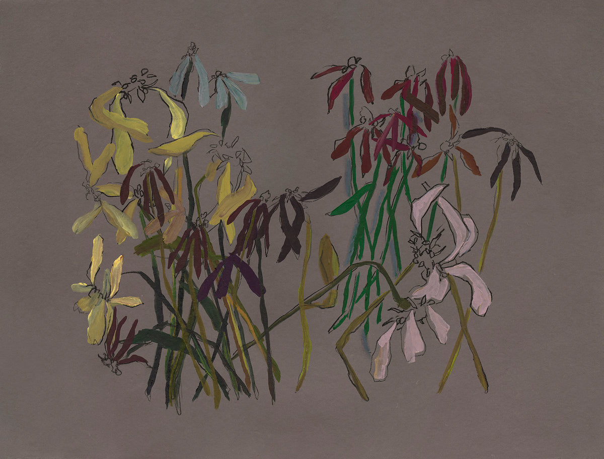 Briefly Held II