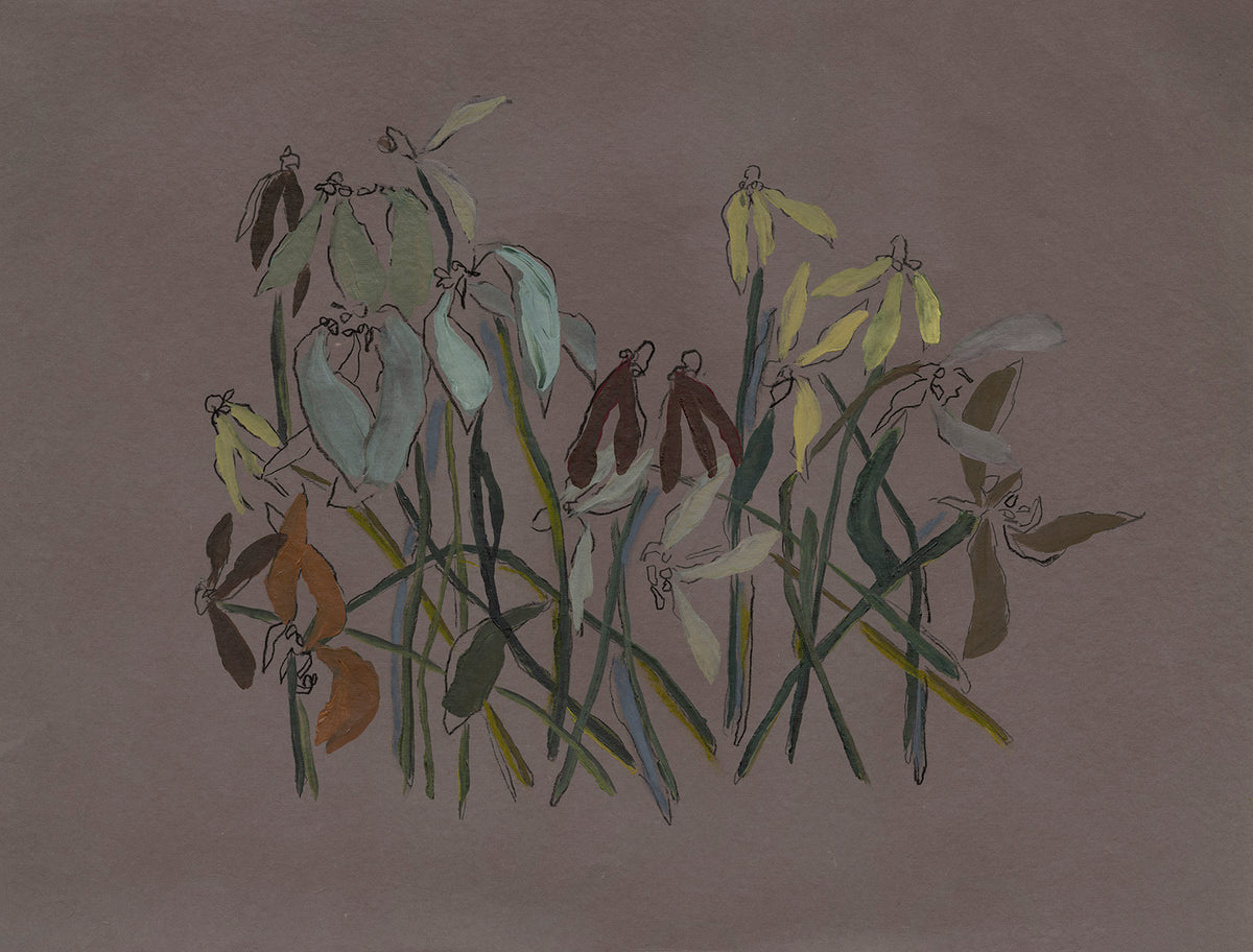 Briefly Held IV
