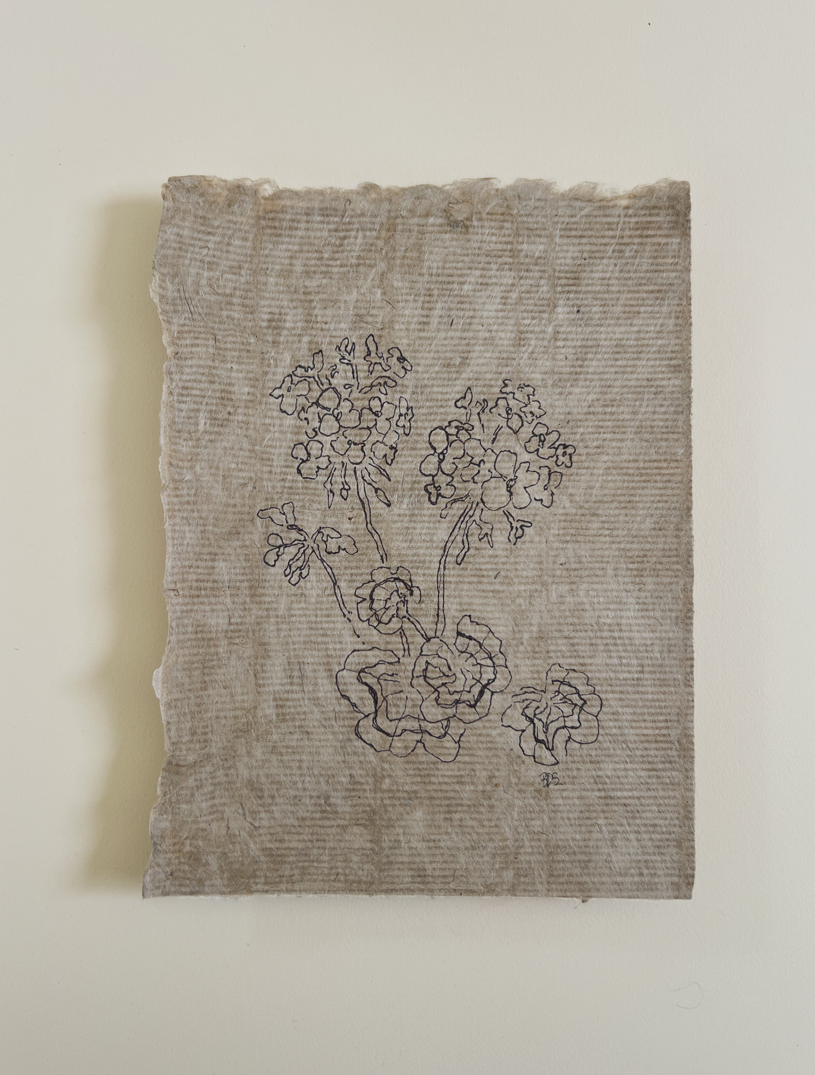 Flora IV
