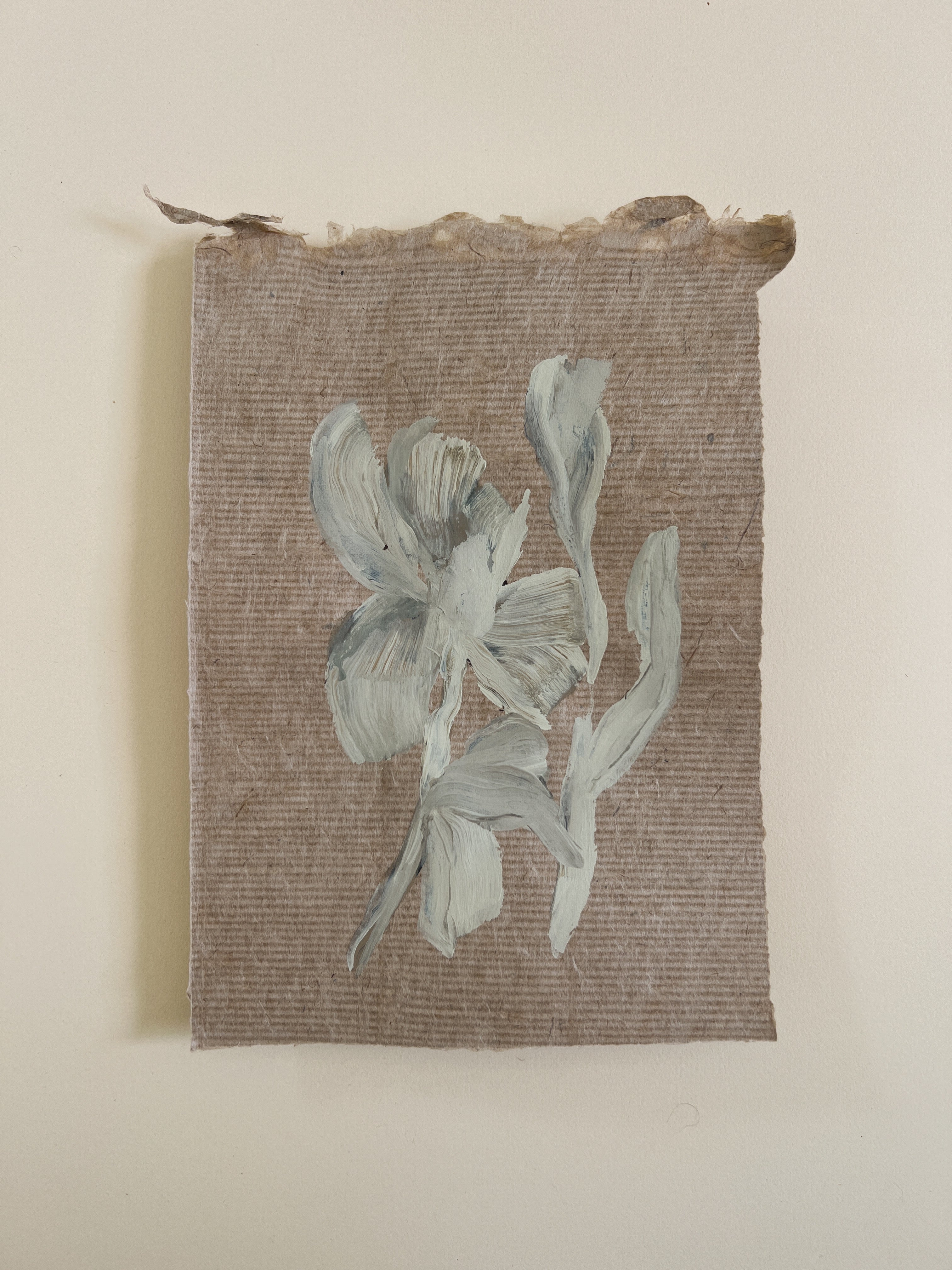 Flora XIV