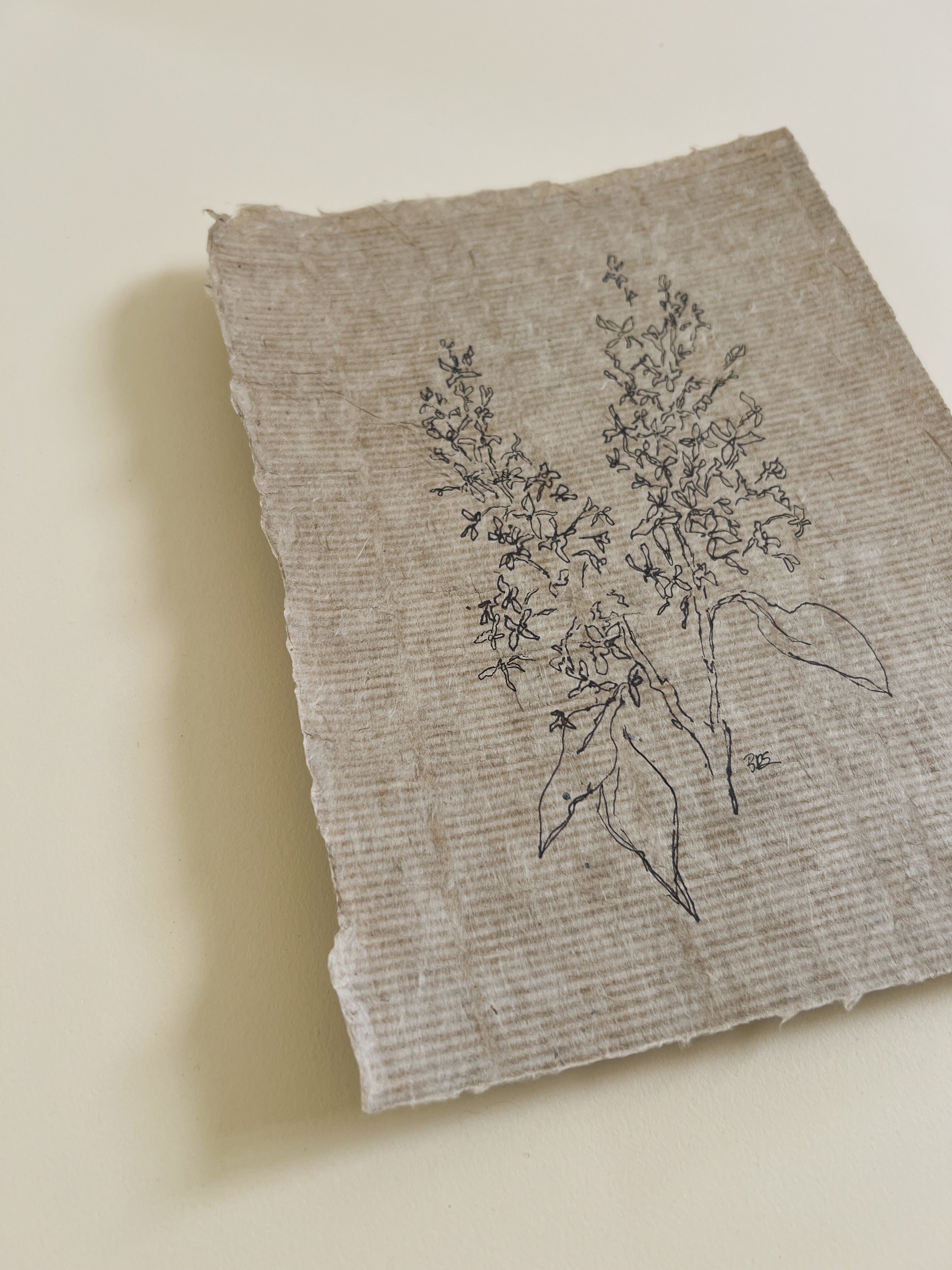 Flora I