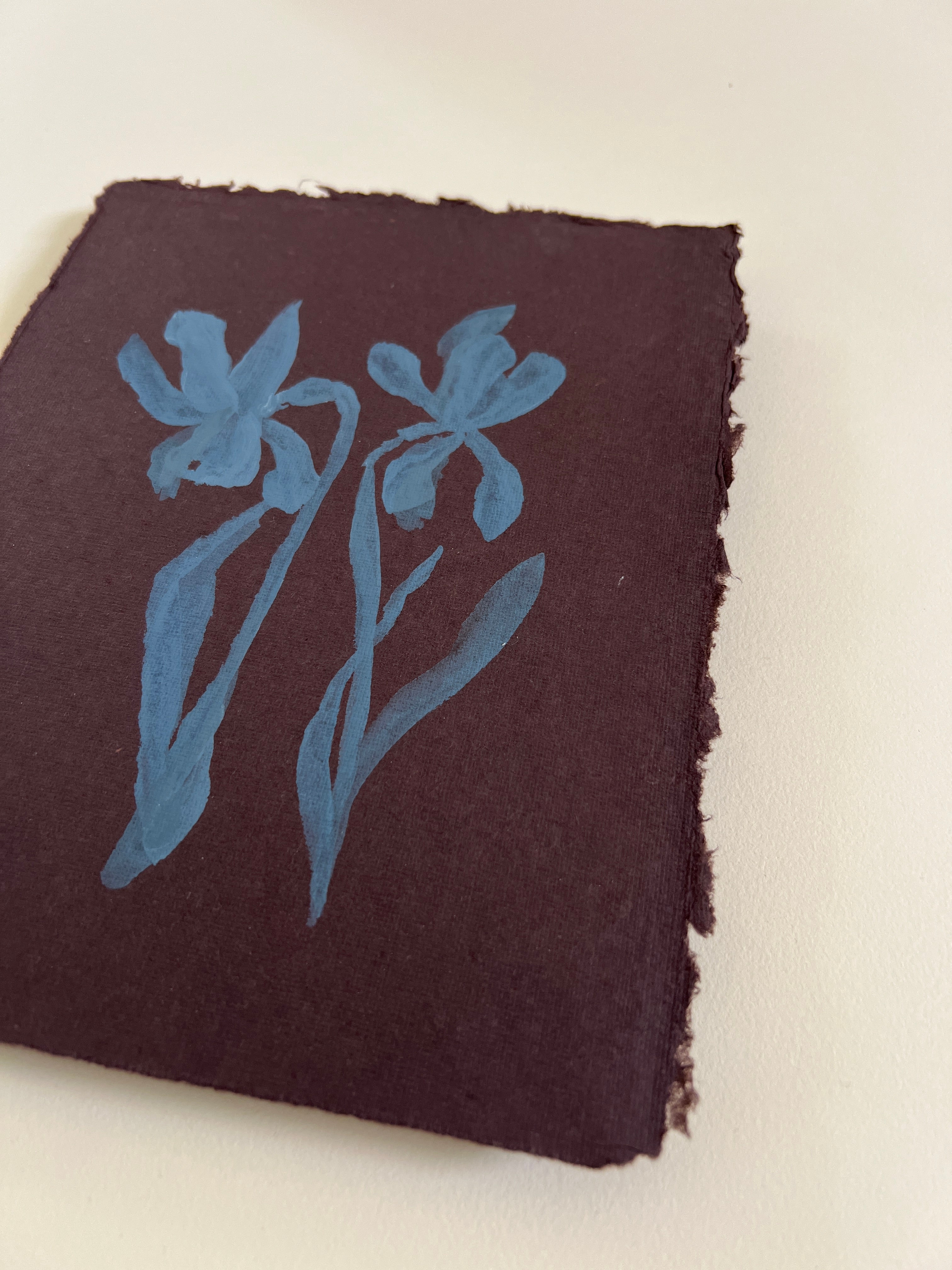 Flora XVII