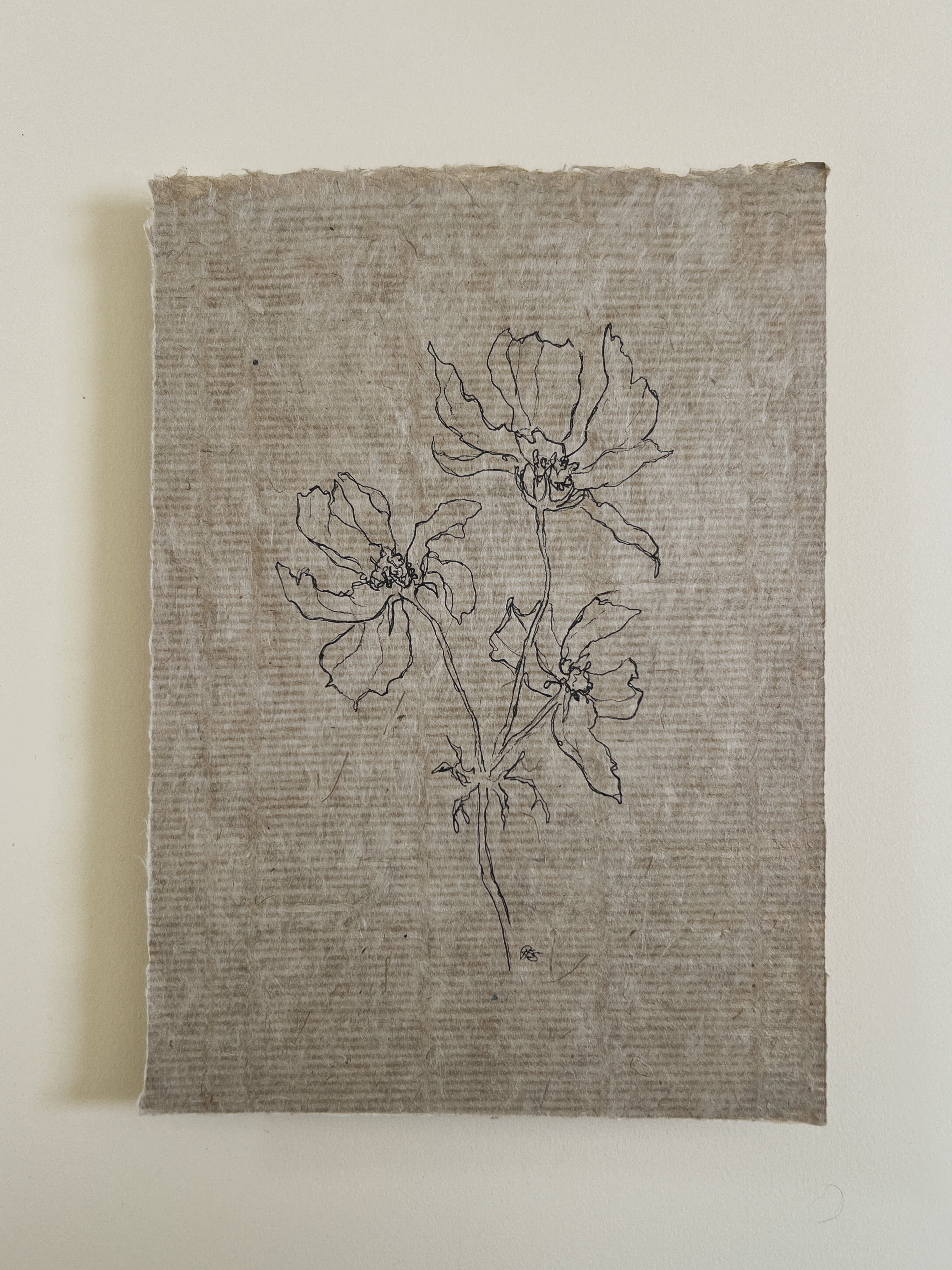 Flora VIII