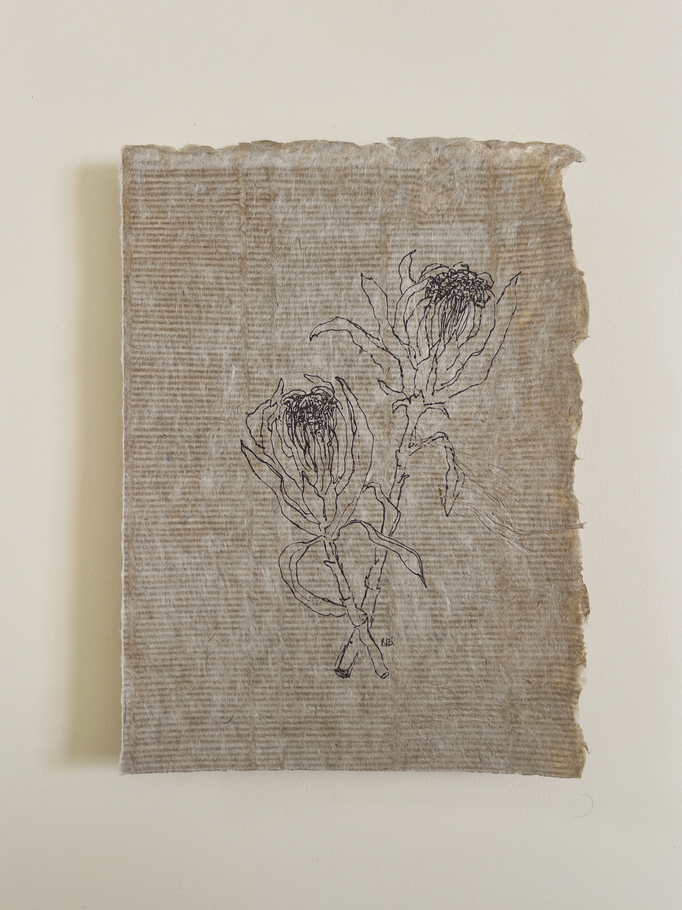 Flora III
