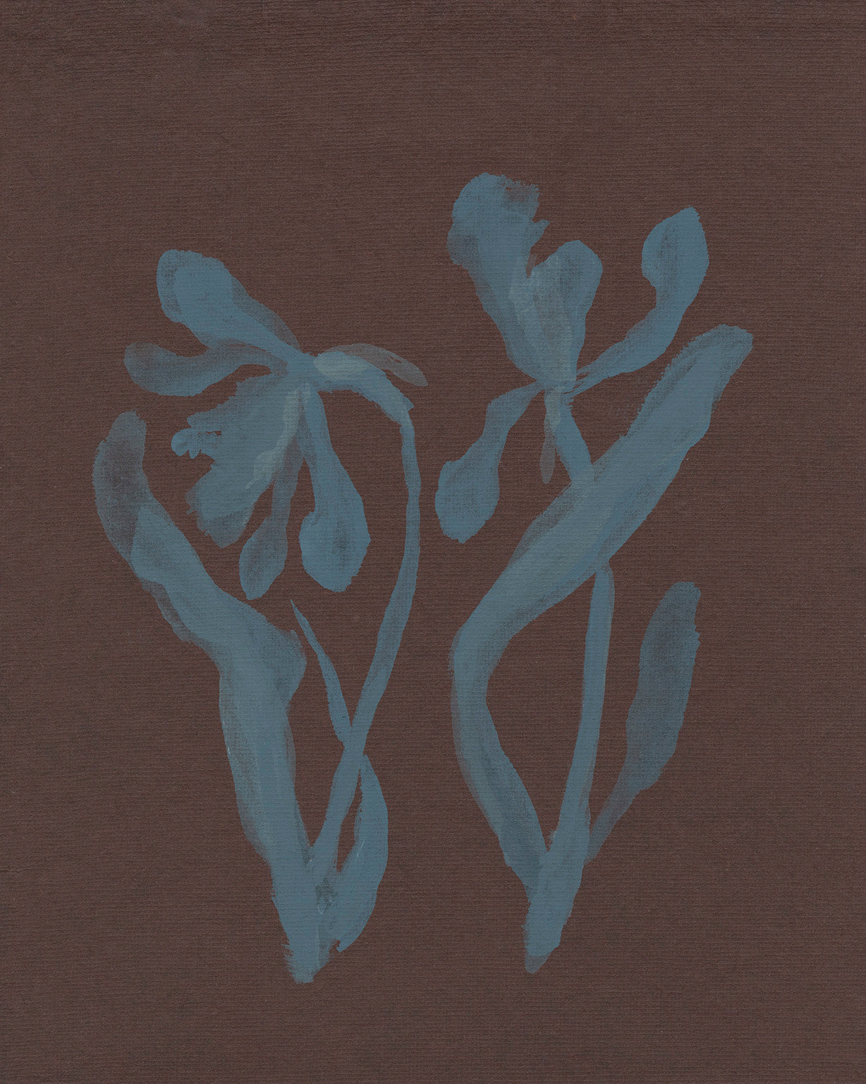 Flora XVI