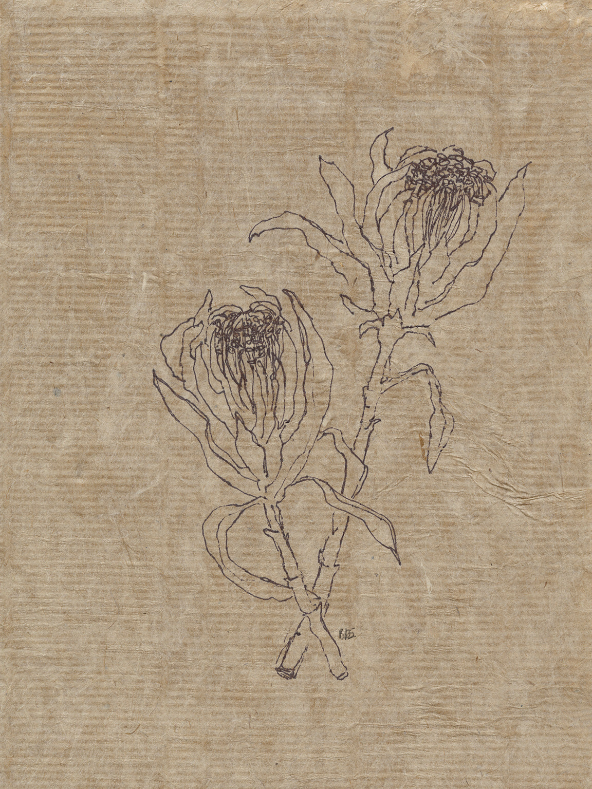 Flora III
