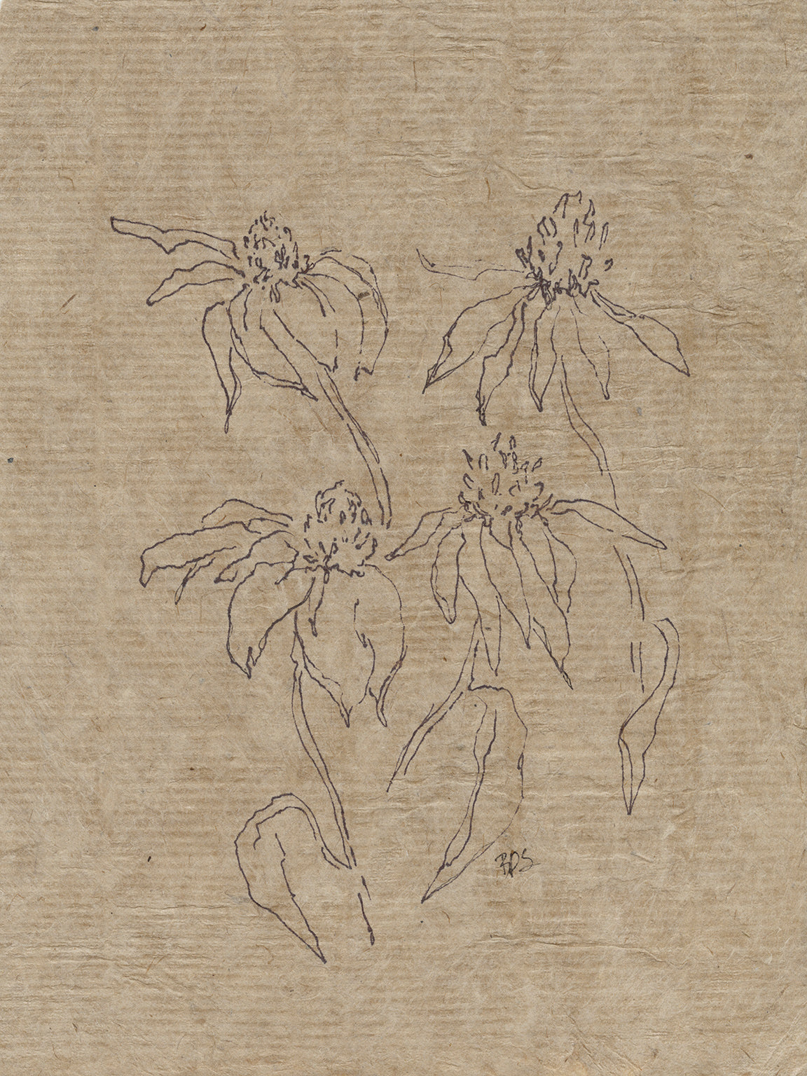 Flora IX