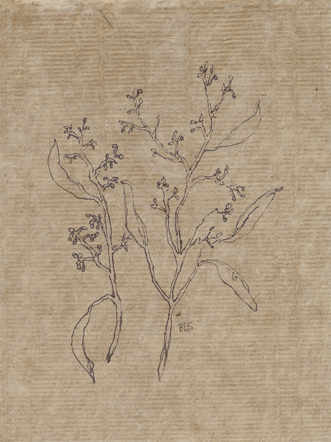 Flora VI