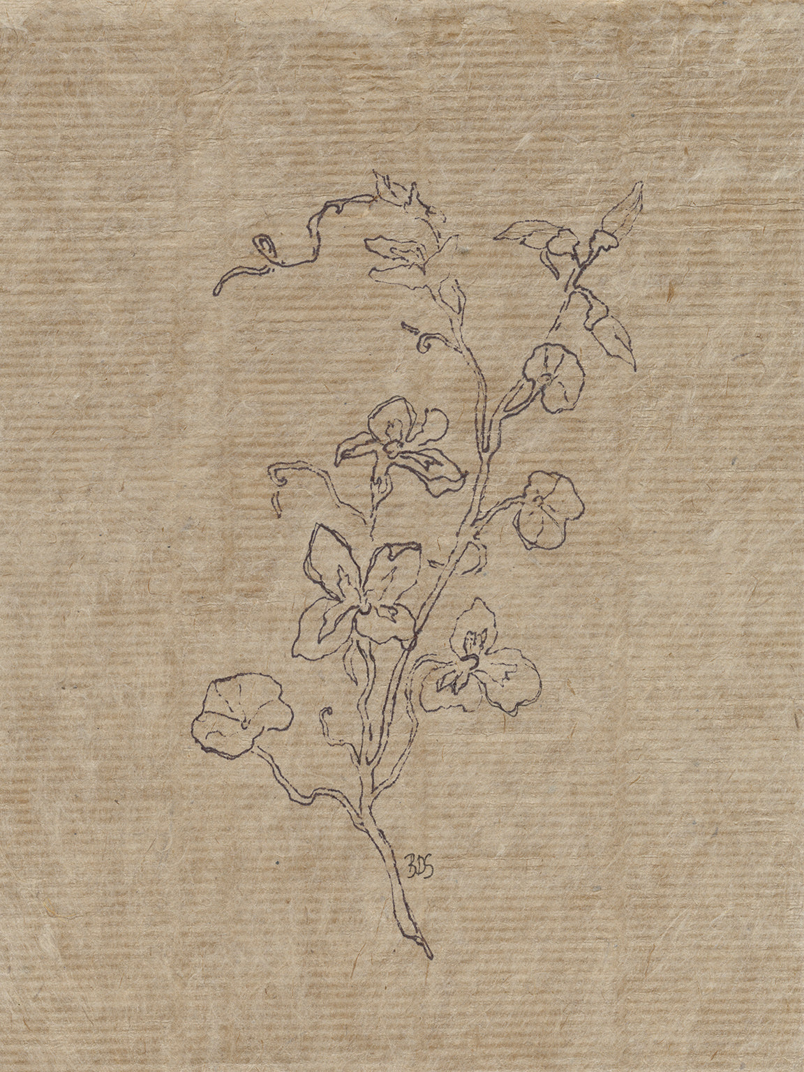 Flora VII