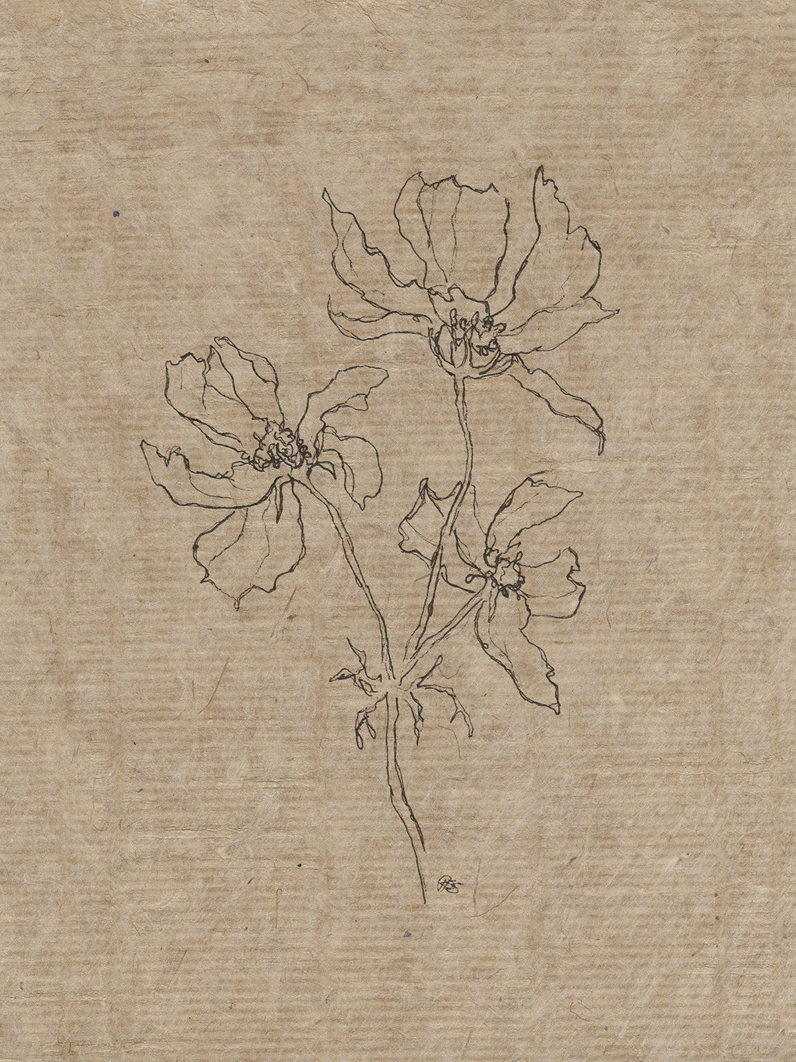 Flora VIII