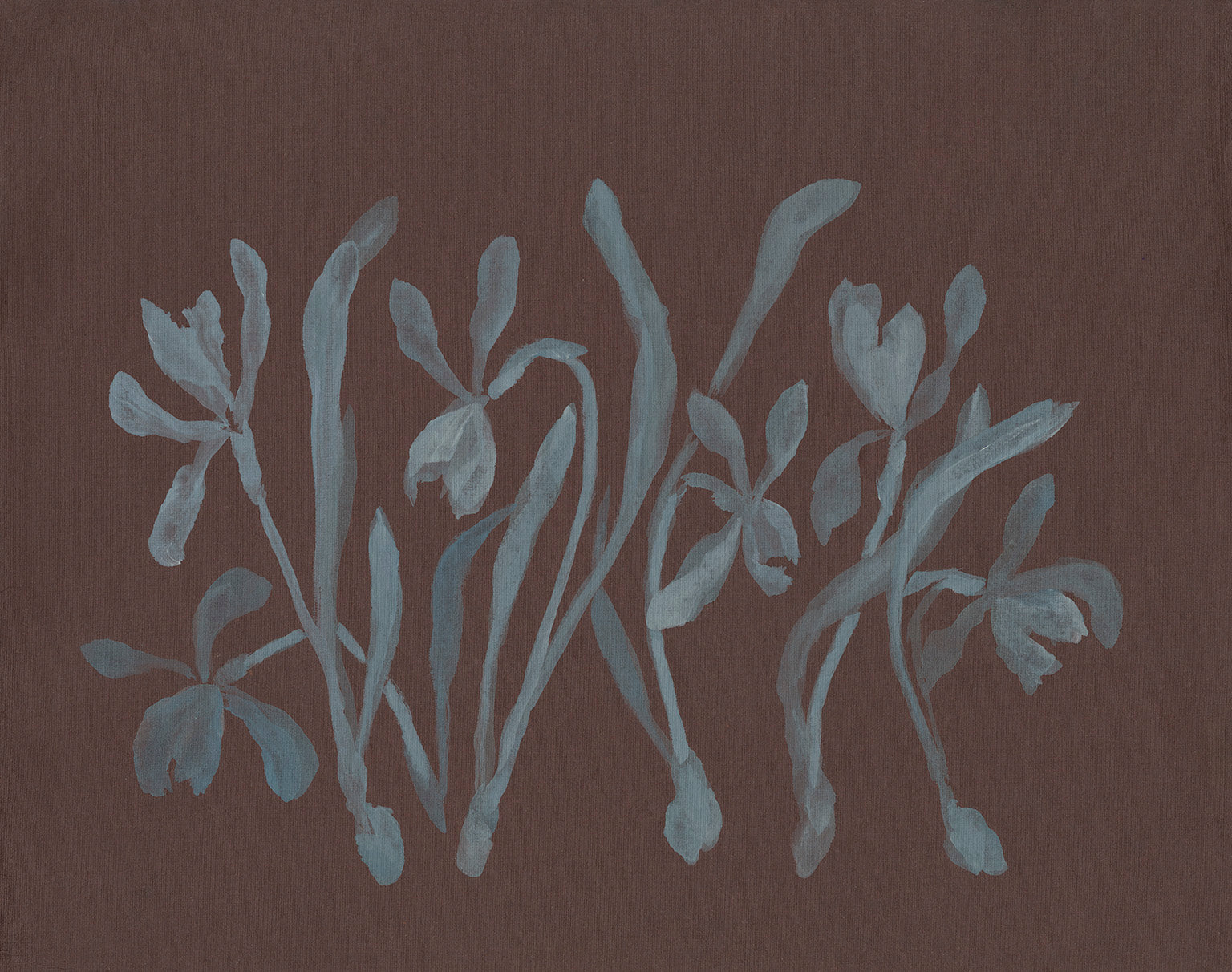 Flora XIX