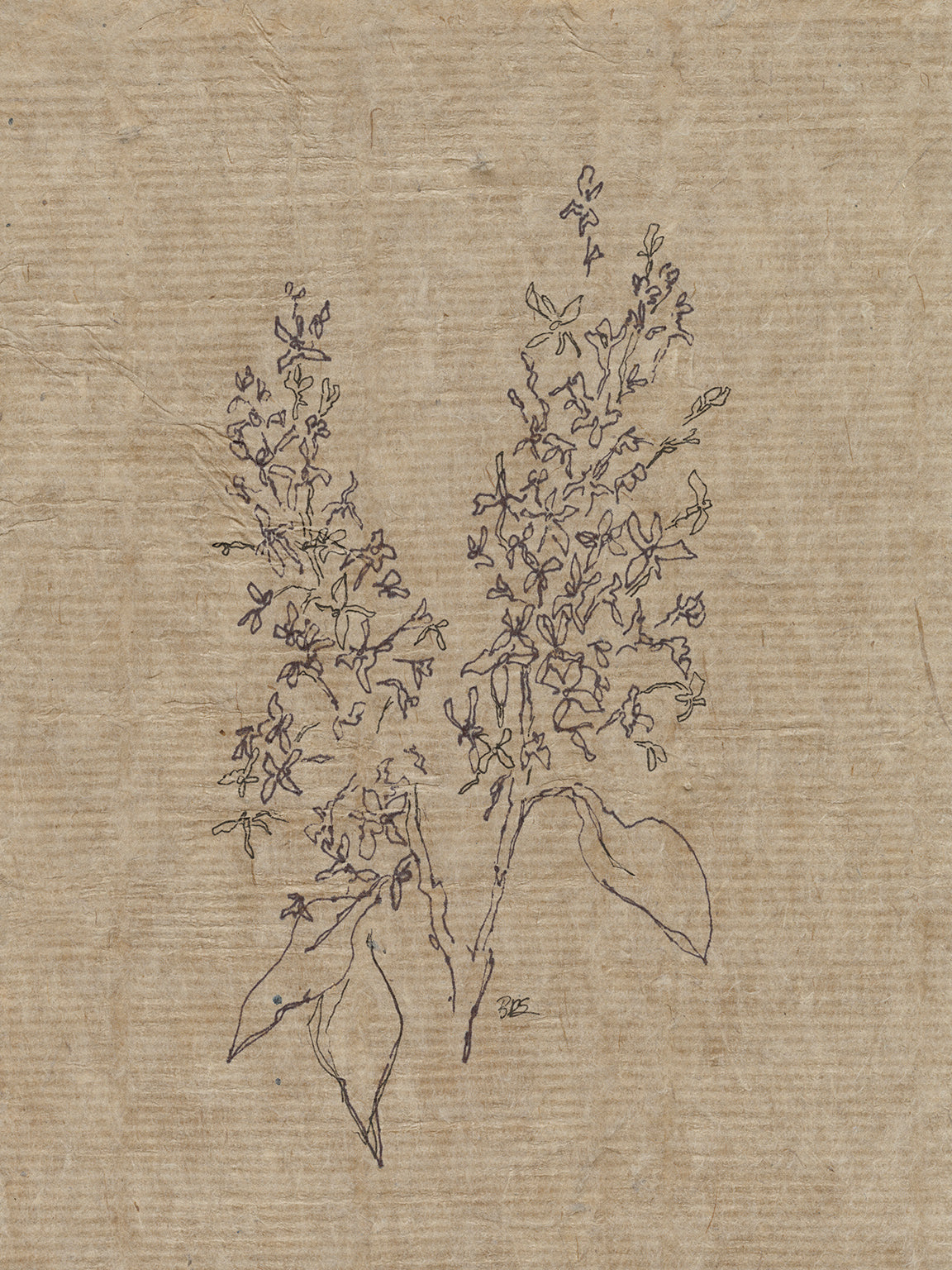 Flora I