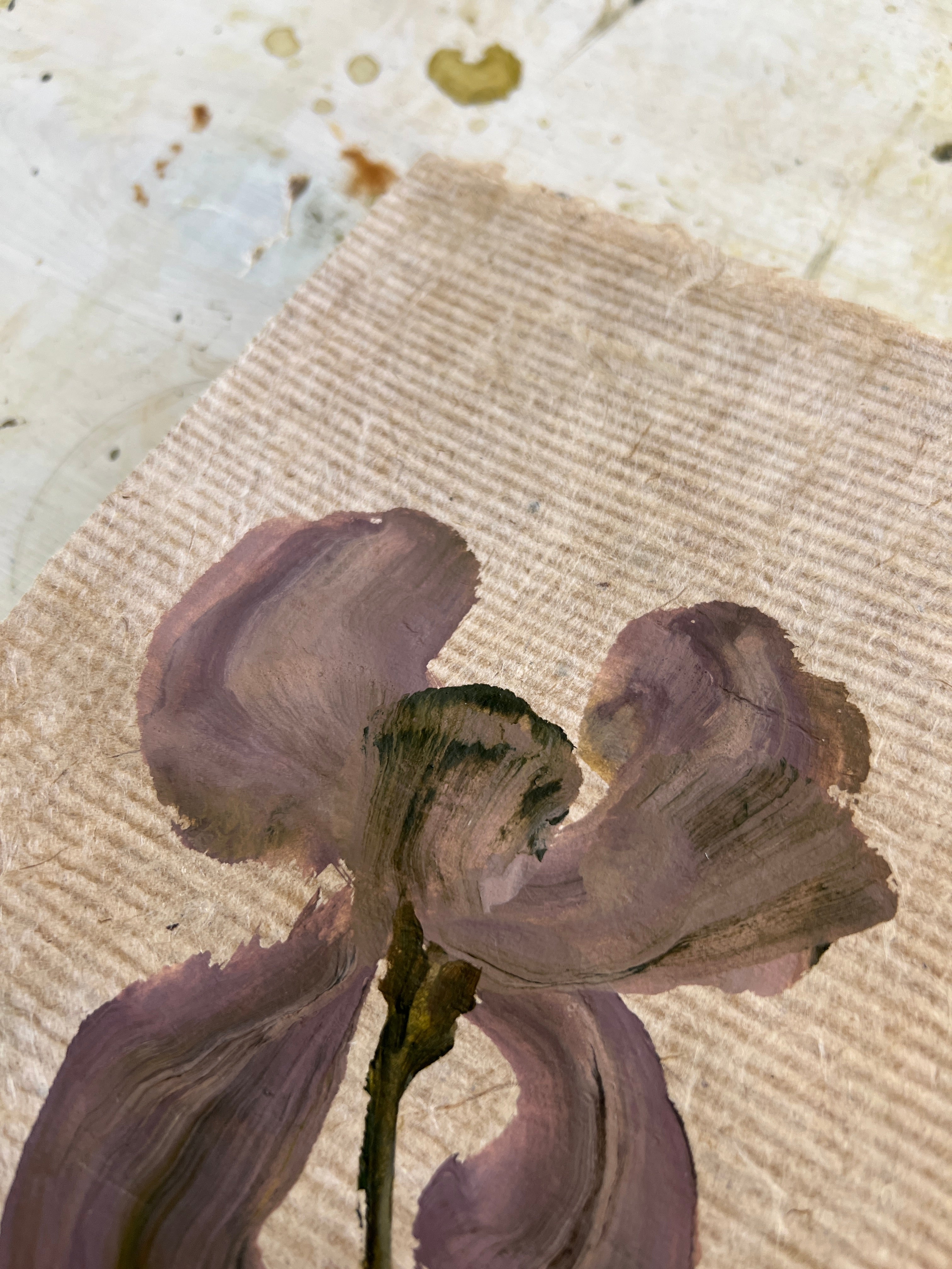 Blooms XX