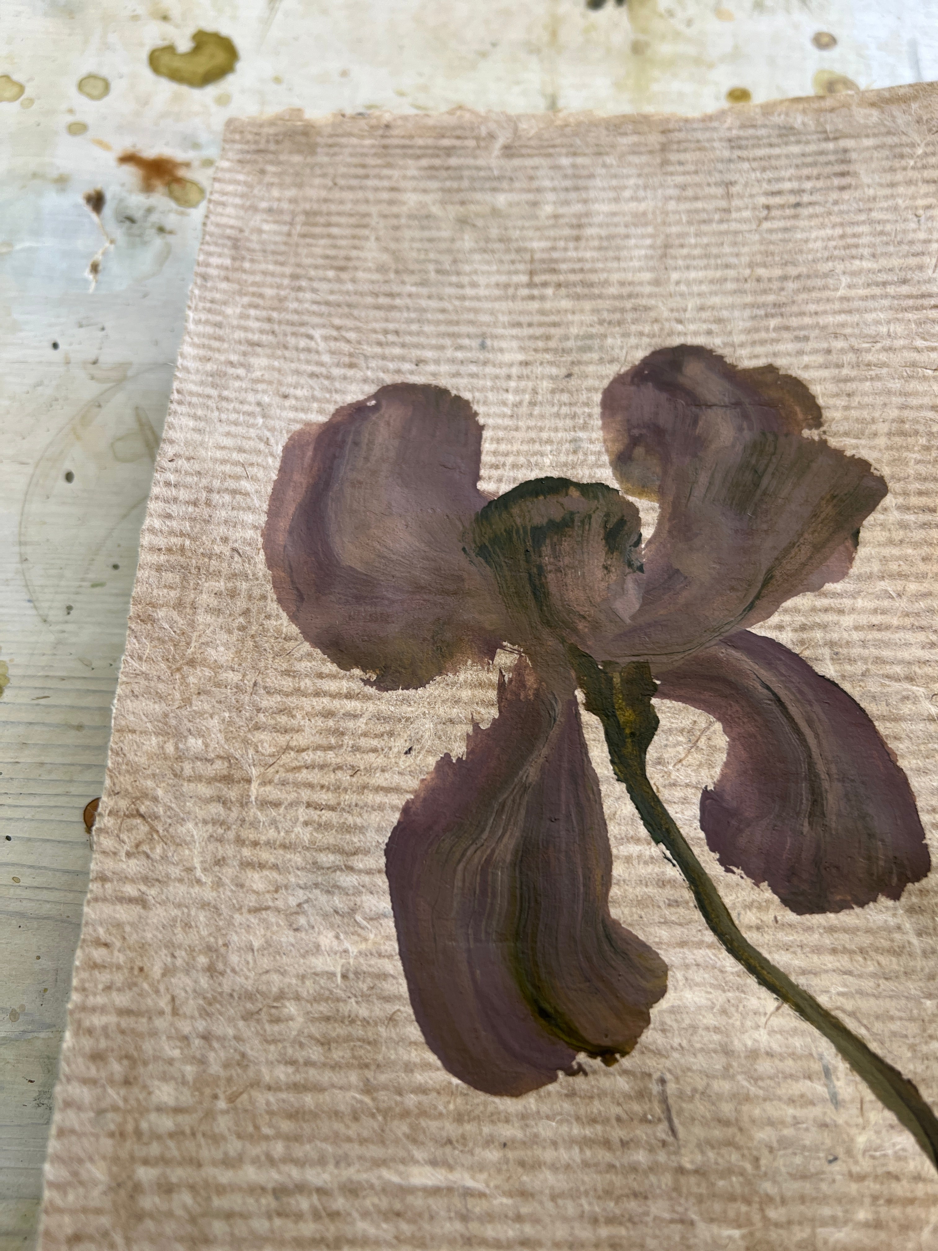 Blooms XX