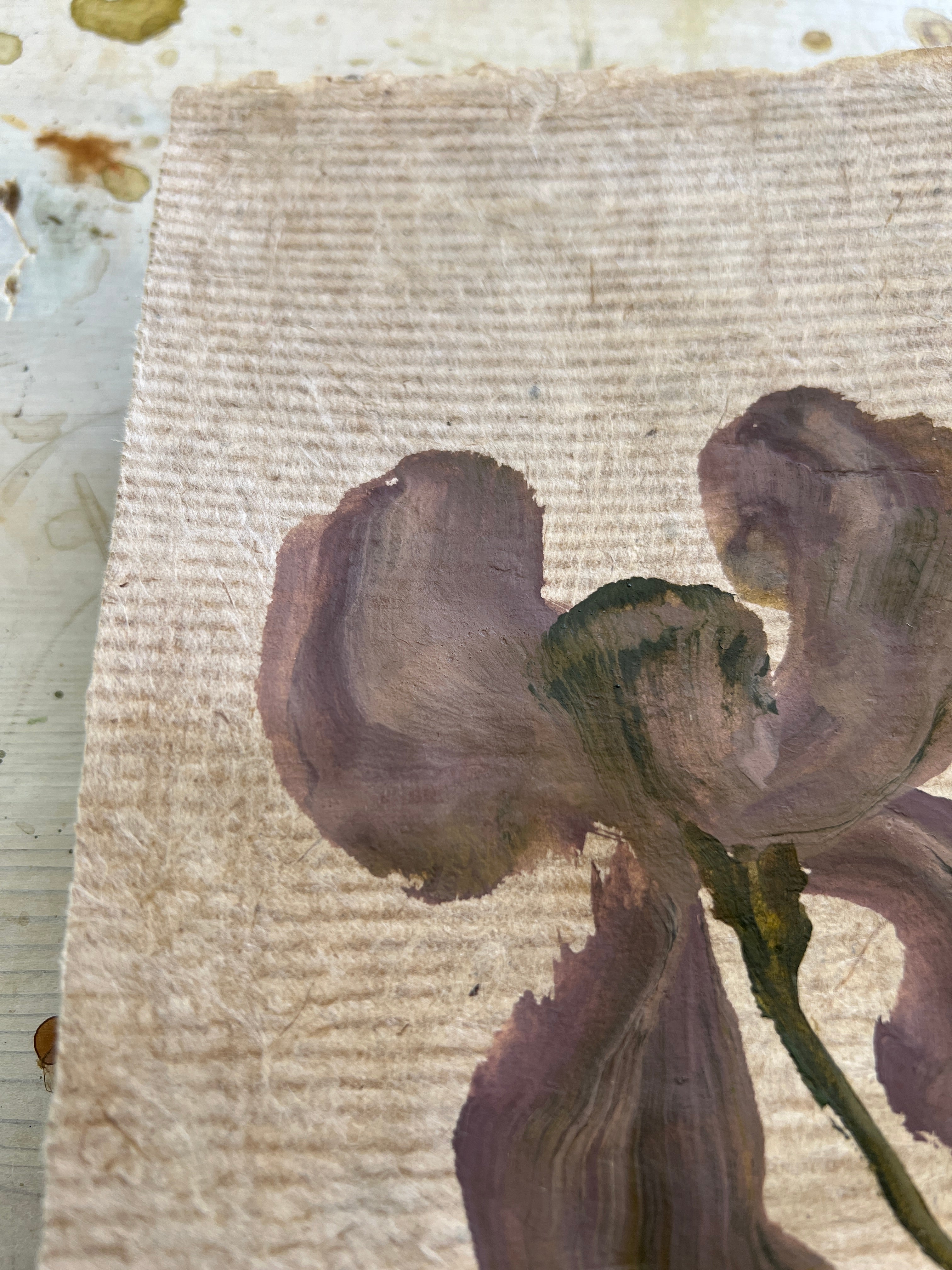 Blooms XX