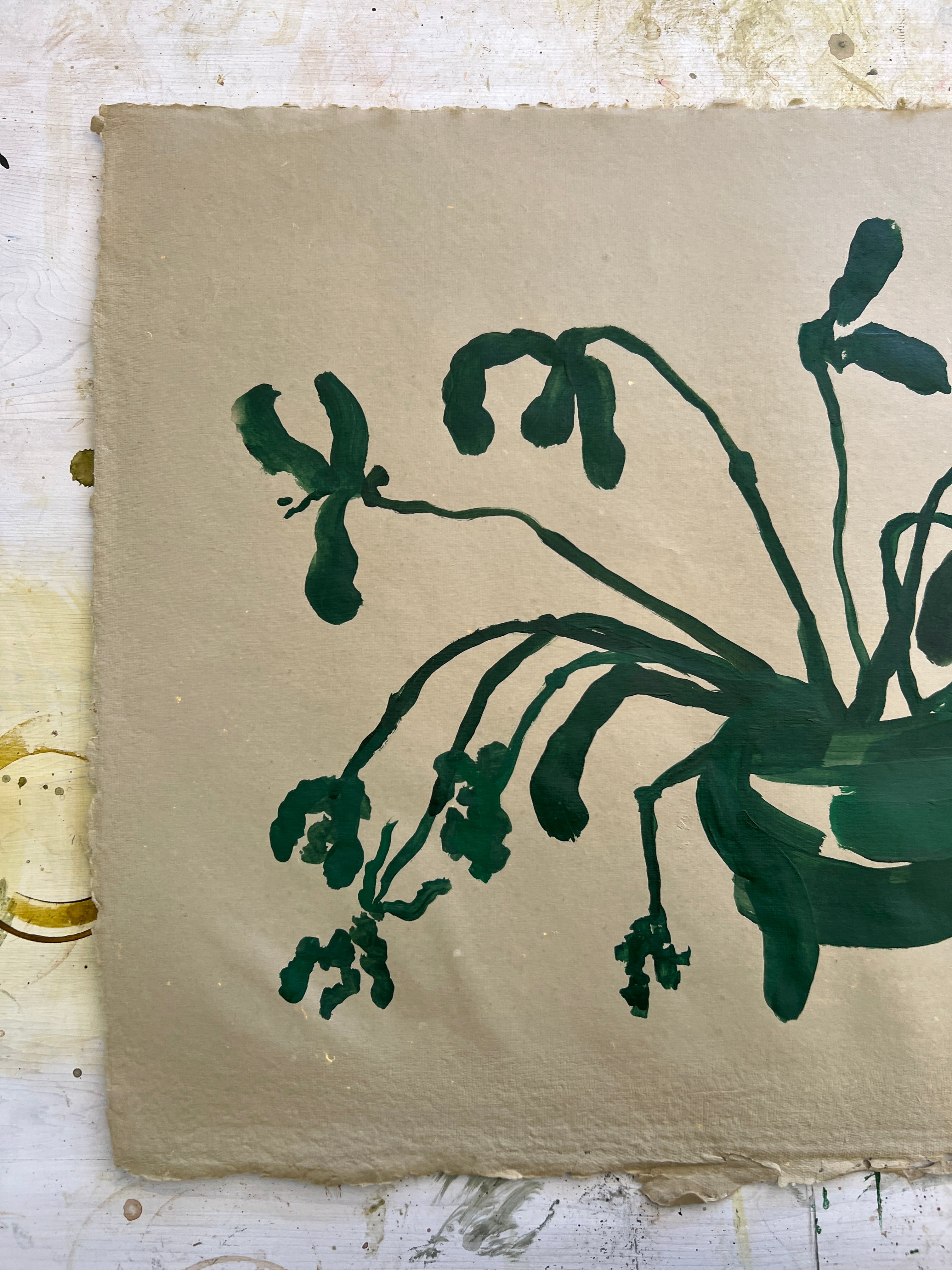 Blooms XXX