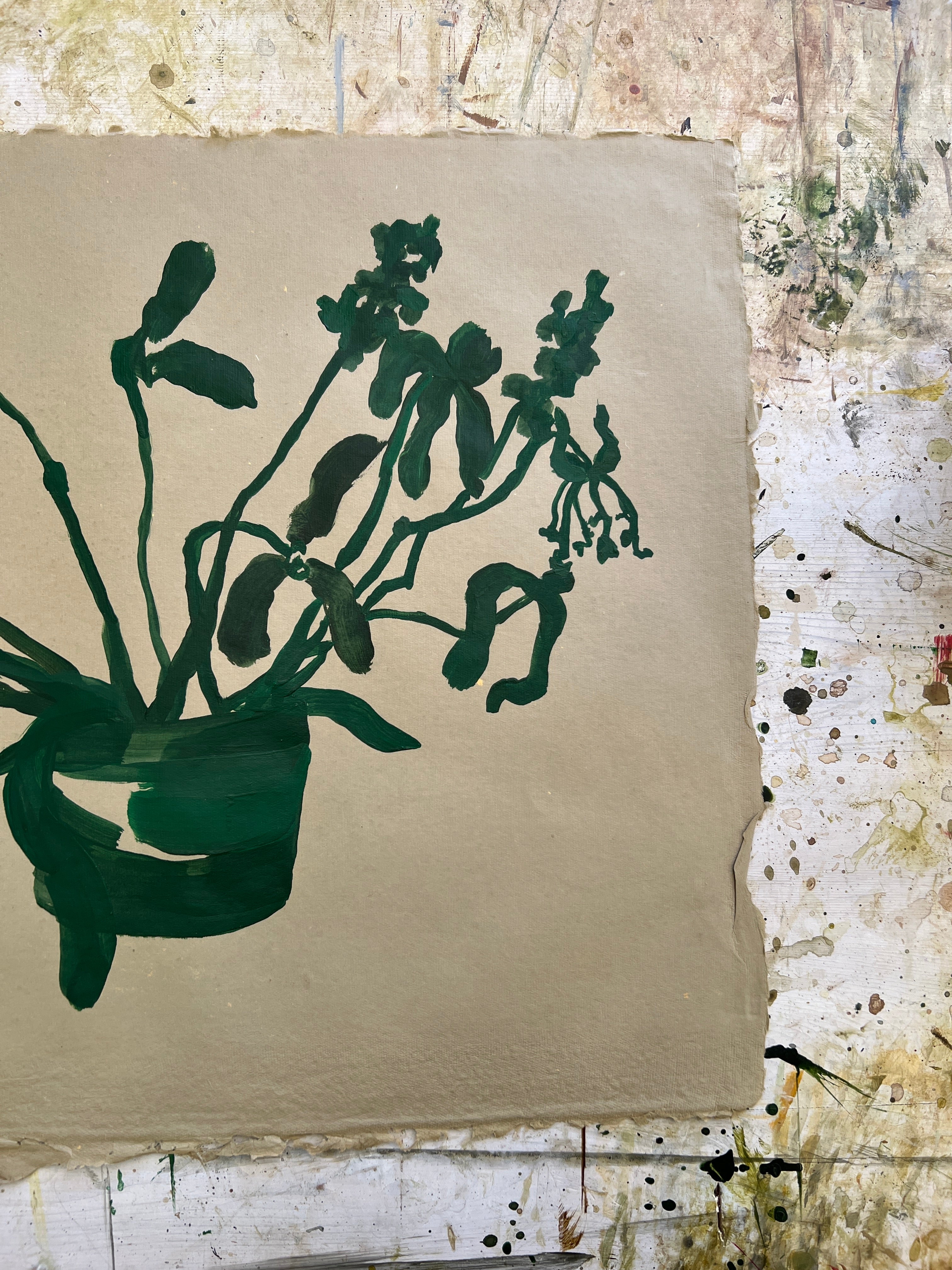 Blooms XXX