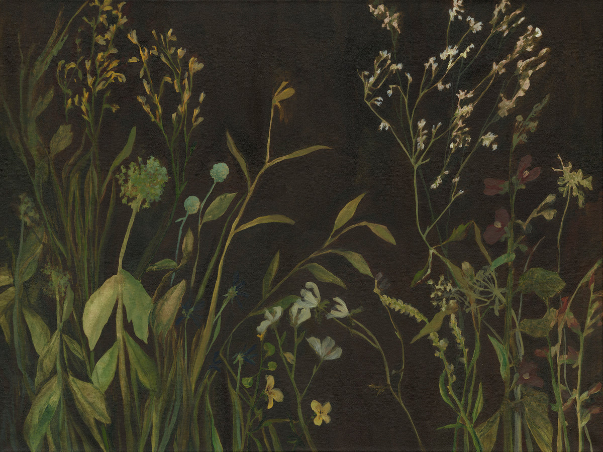 Nocturne Botanicals I