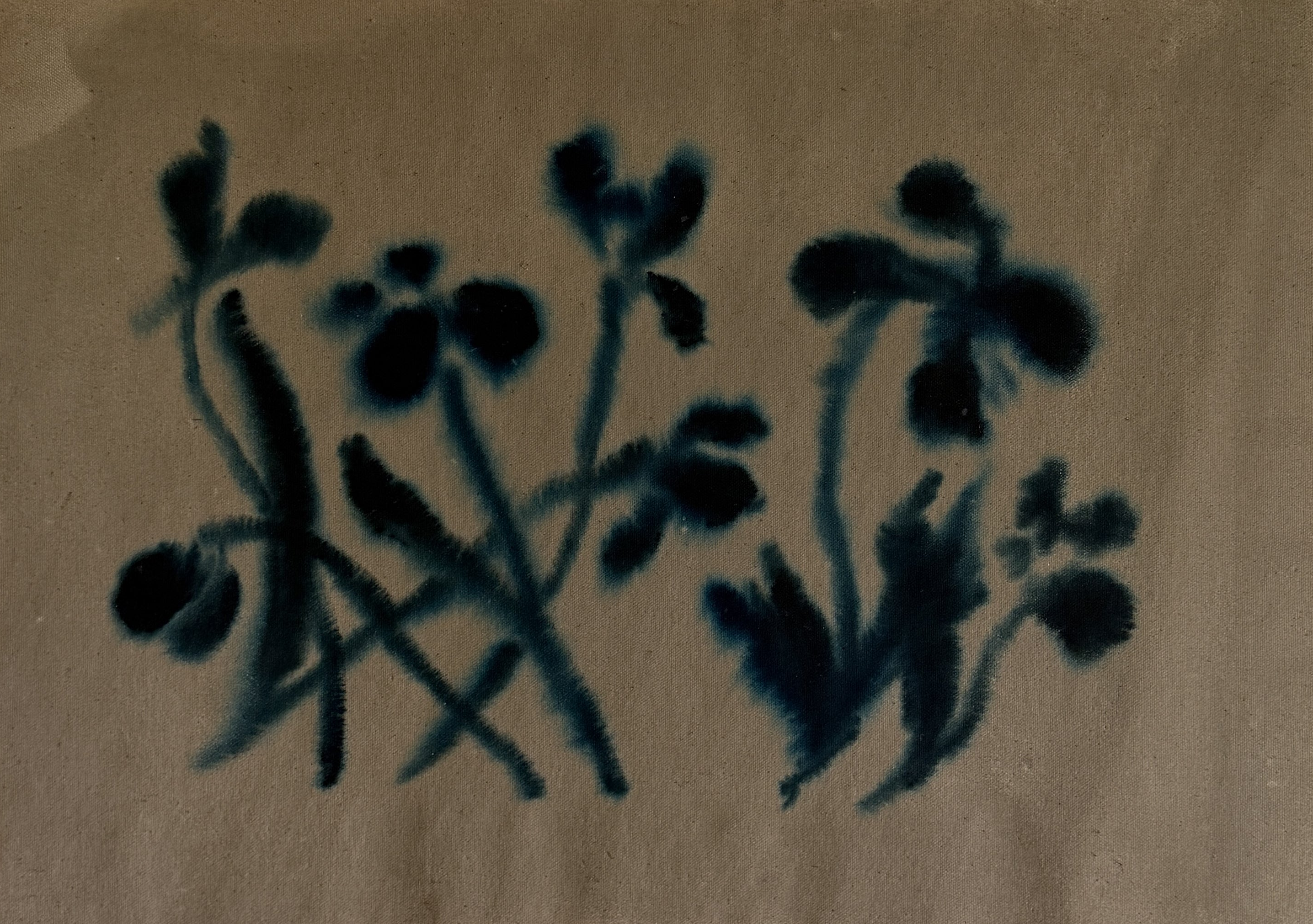 Poppies III