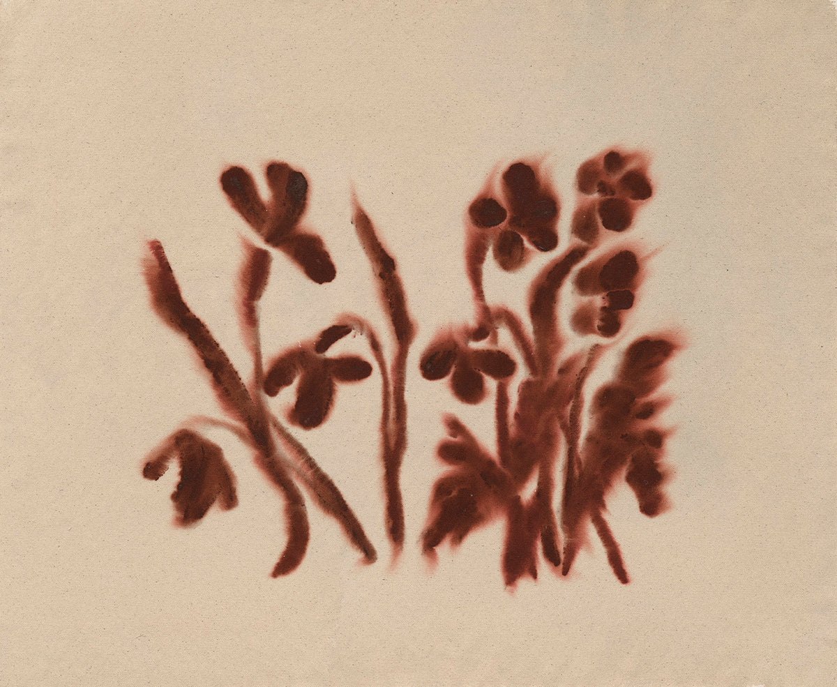 Poppies II